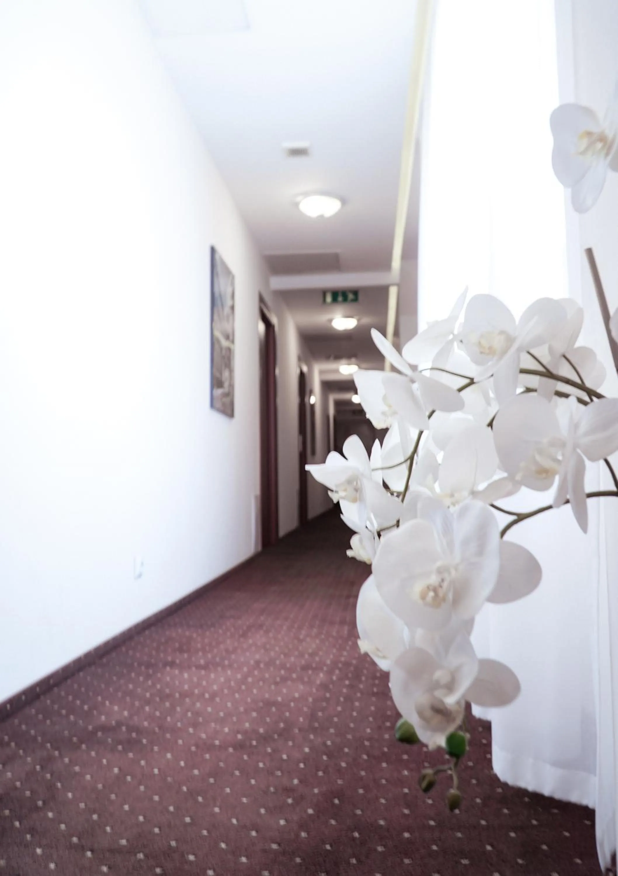 Lobby or reception in City Center Rooms Piotrkowska 91