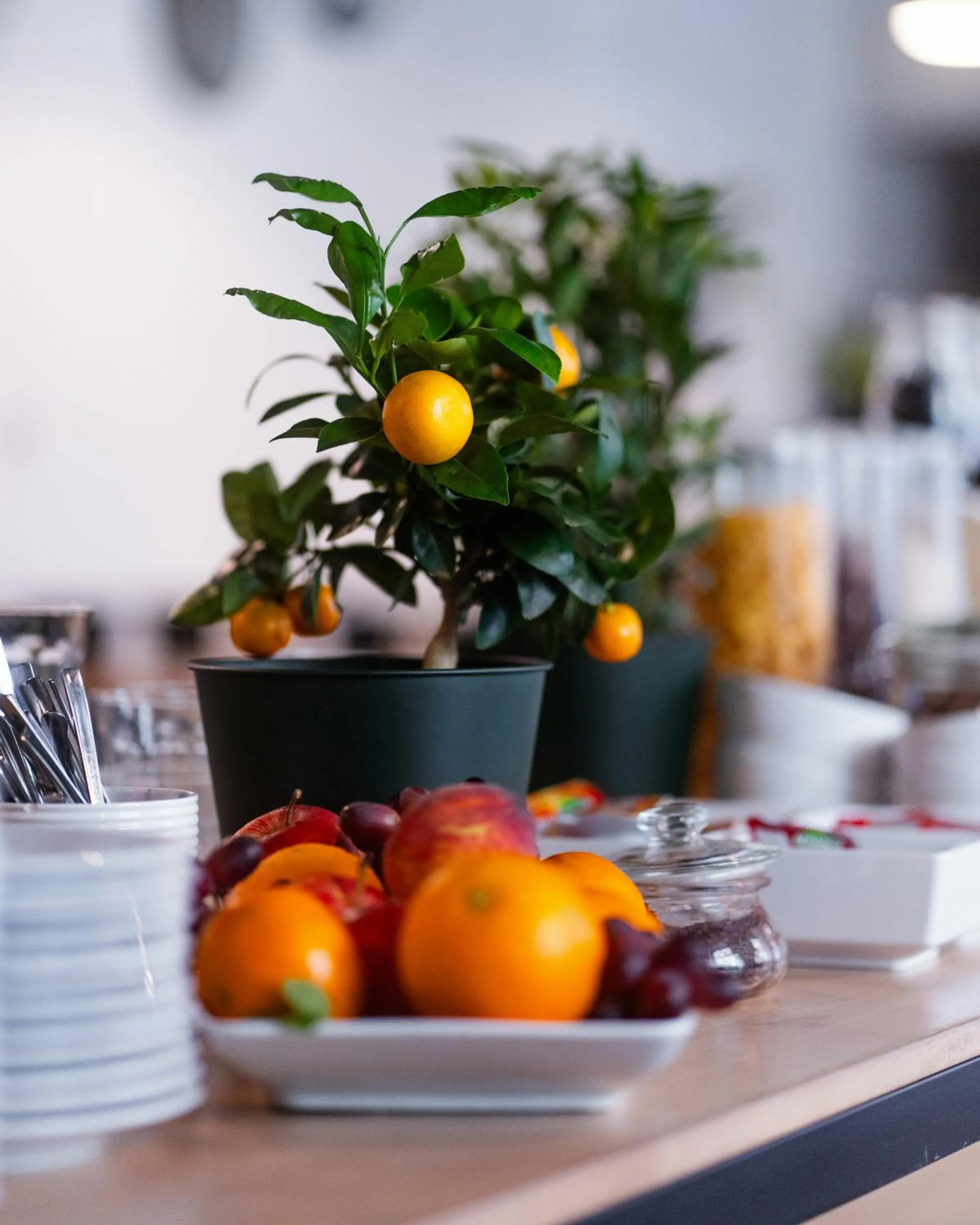 Food and drinks in City Center Rooms Piotrkowska 91