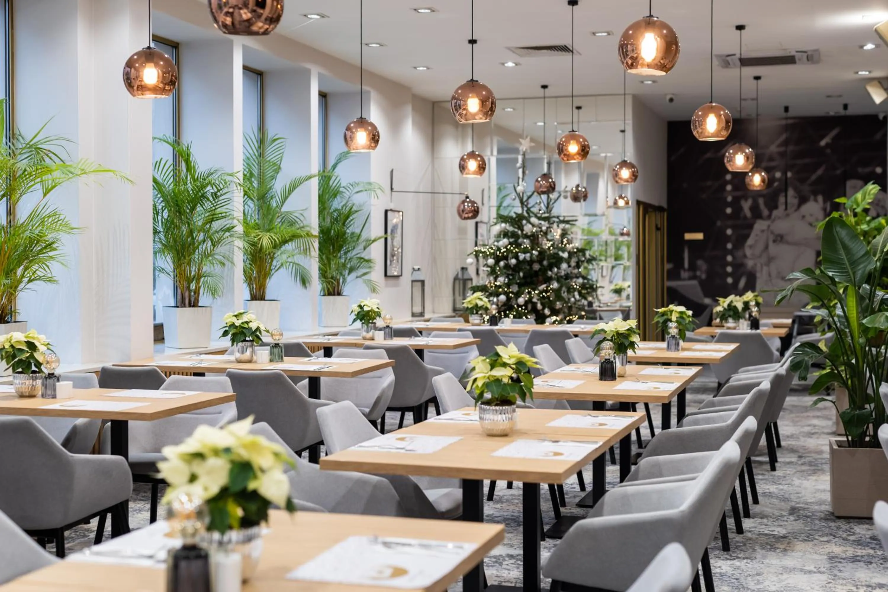 Restaurant/places to eat in Mercure Opole