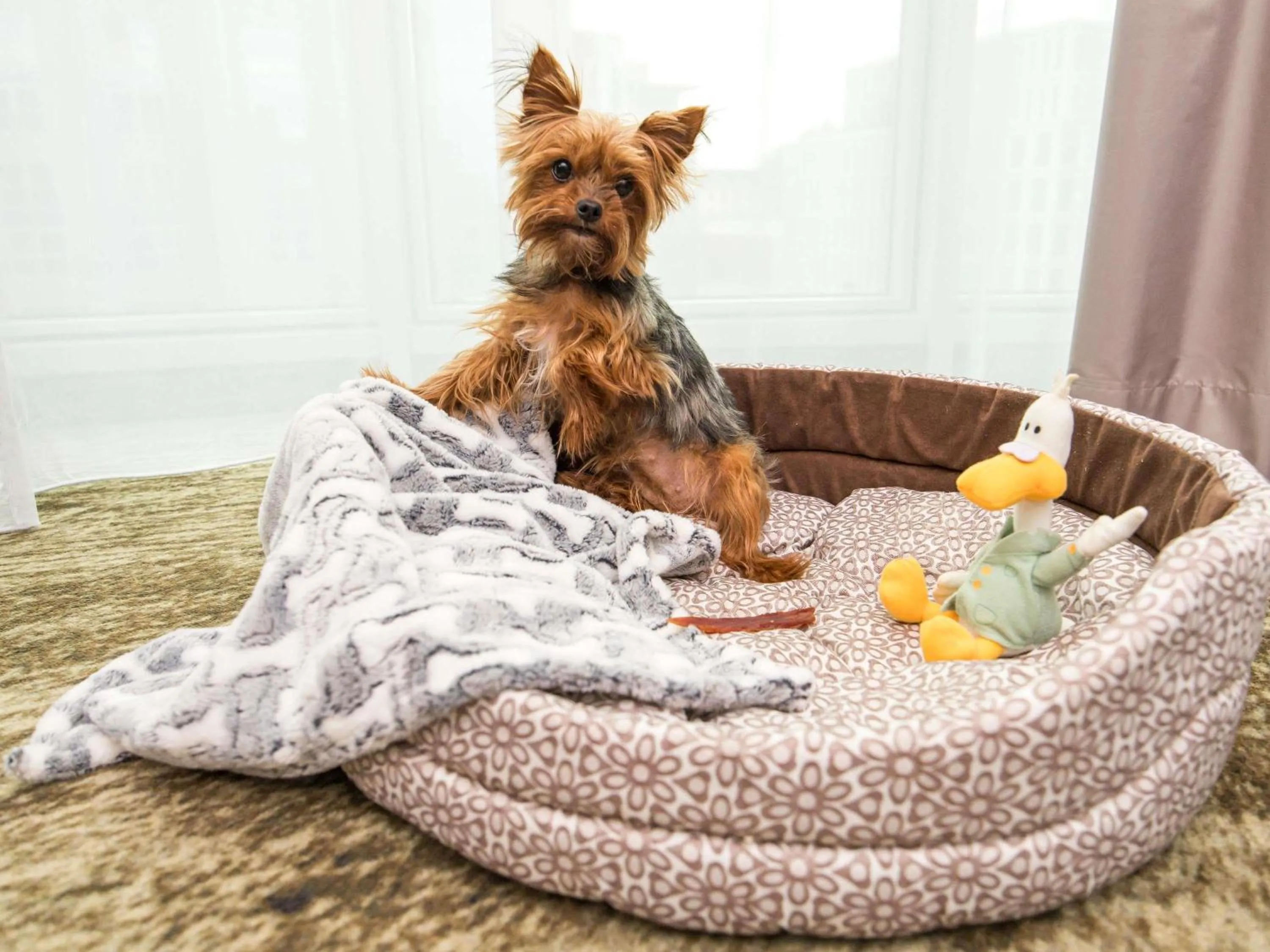 Other in Mercure Wrocław Centrum