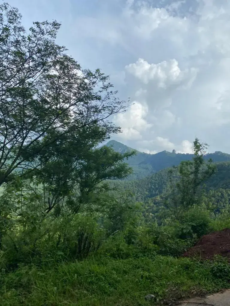 Double Room with Private Bathroom in Hotel Aagaman - Best Family Hotel in Bandipur Double Room with Private Bathroom in Hotel Aagaman - Best Family Hotel in Bandipur