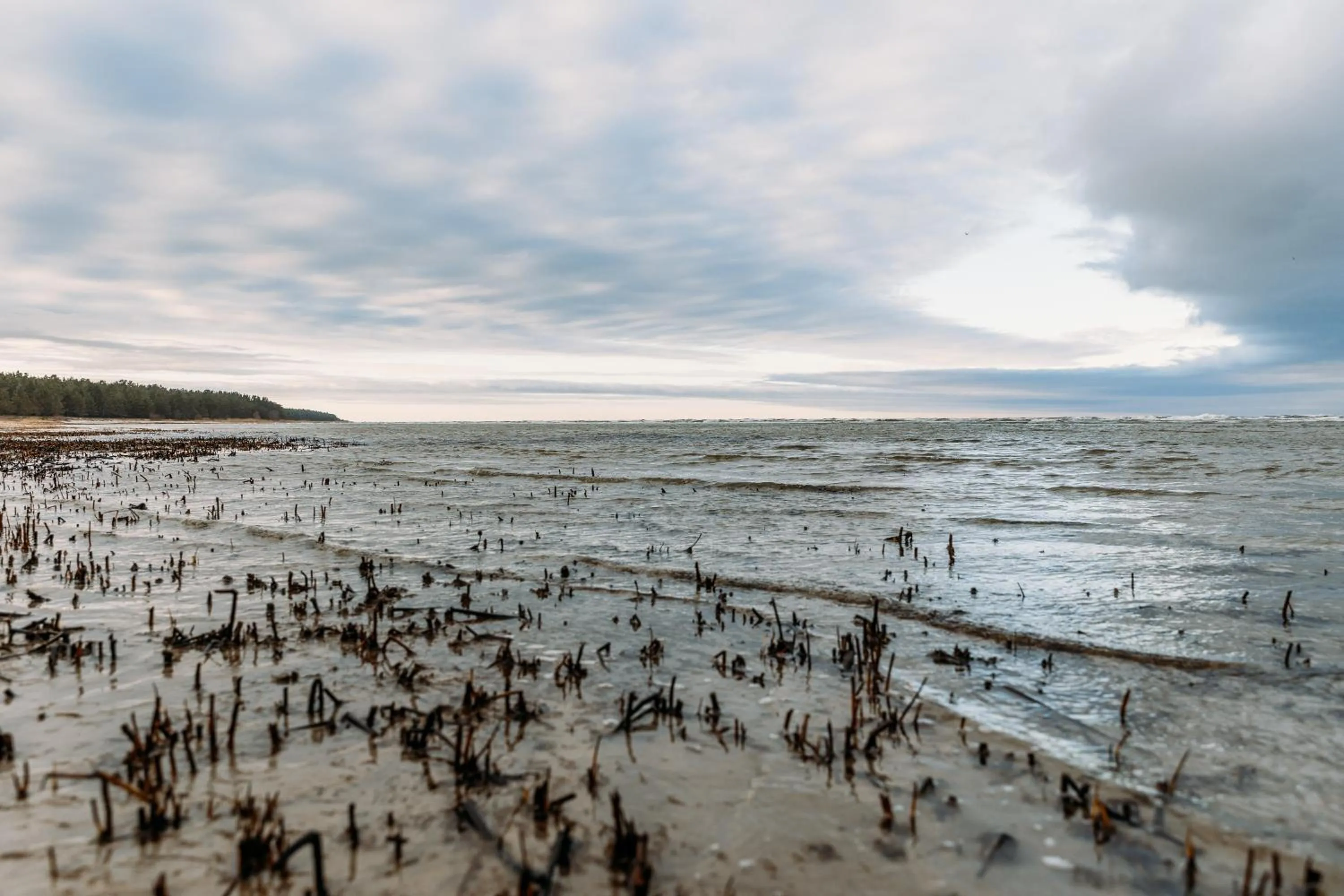 Natural landscape in ZUŠU KLĒTS