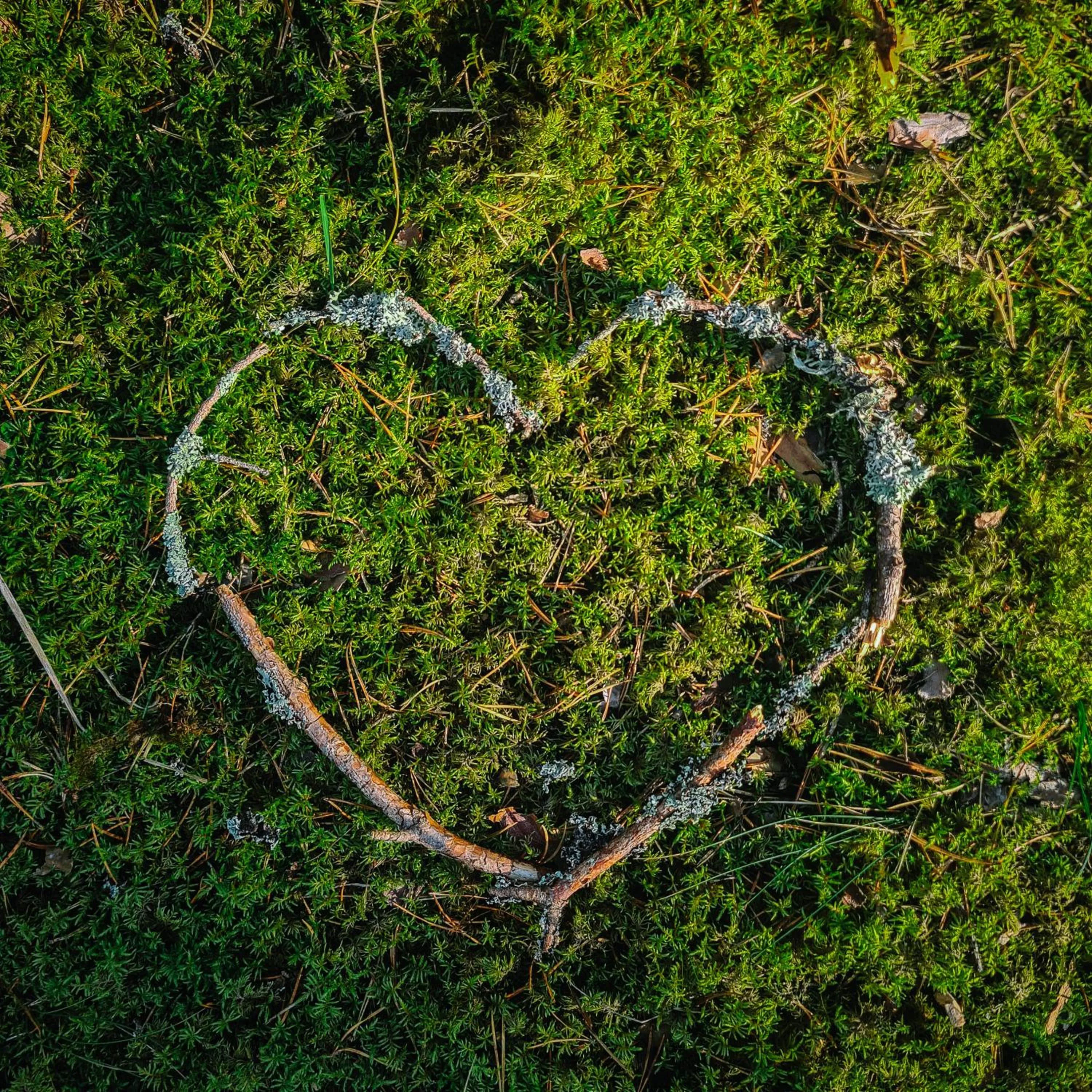 Natural landscape in ZUŠU KLĒTS