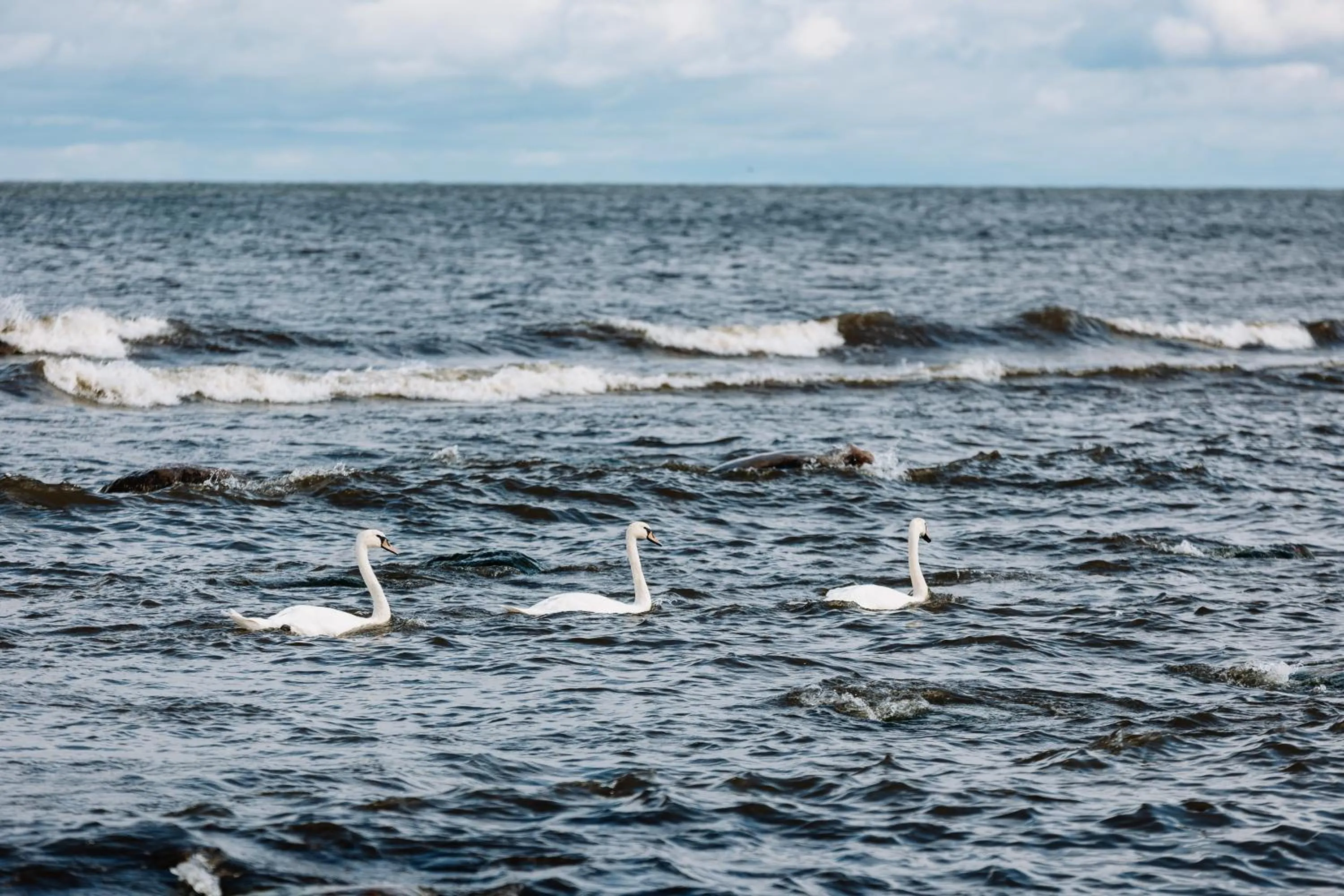 Natural landscape in ZUŠU KLĒTS