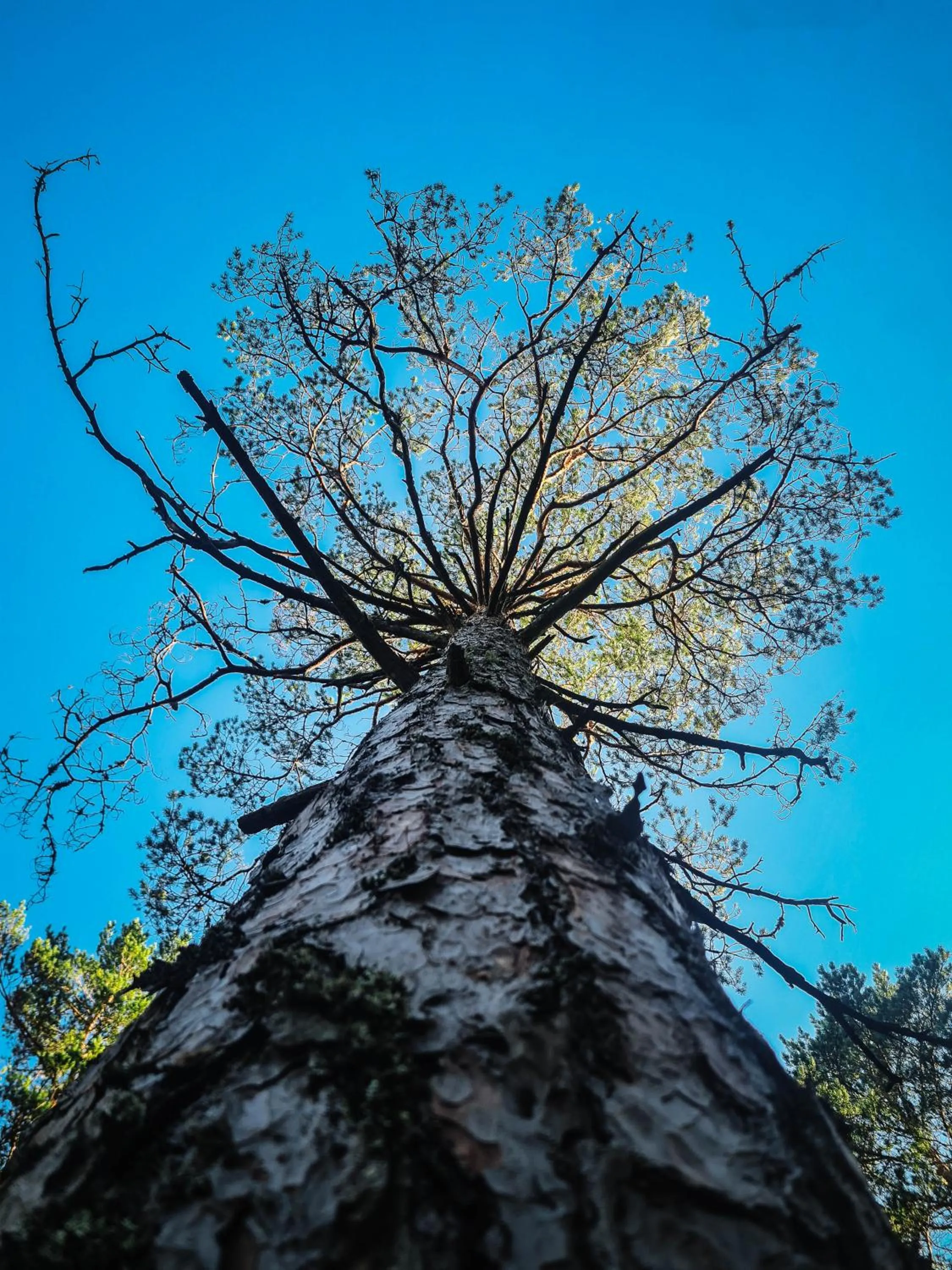 Natural landscape in ZUŠU KLĒTS