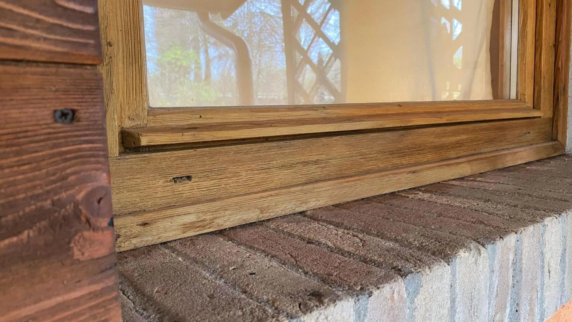 Bosco della Serenissima