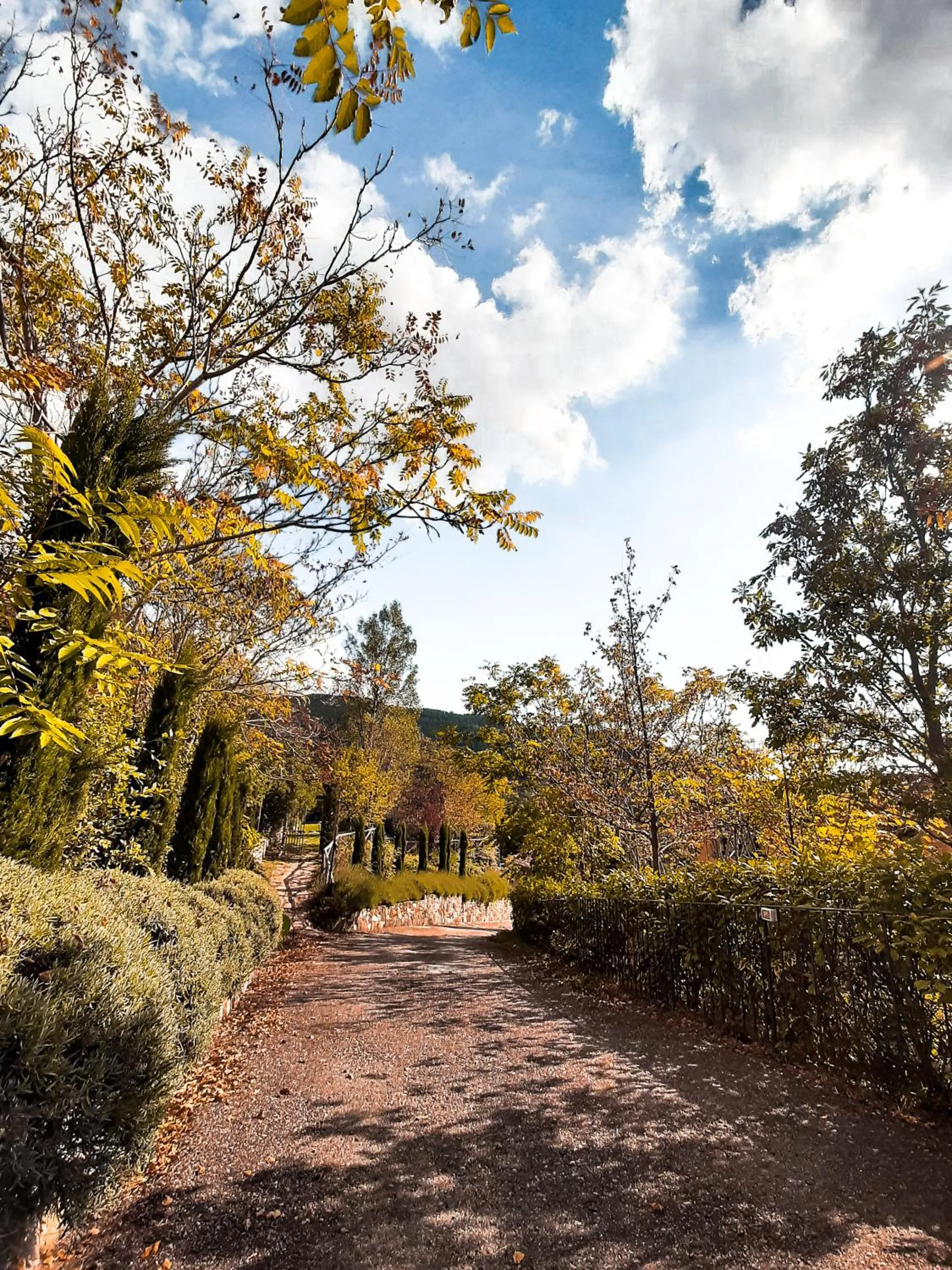 Natural landscape in Borgo I Tre Baroni - Spa Suites & Resort