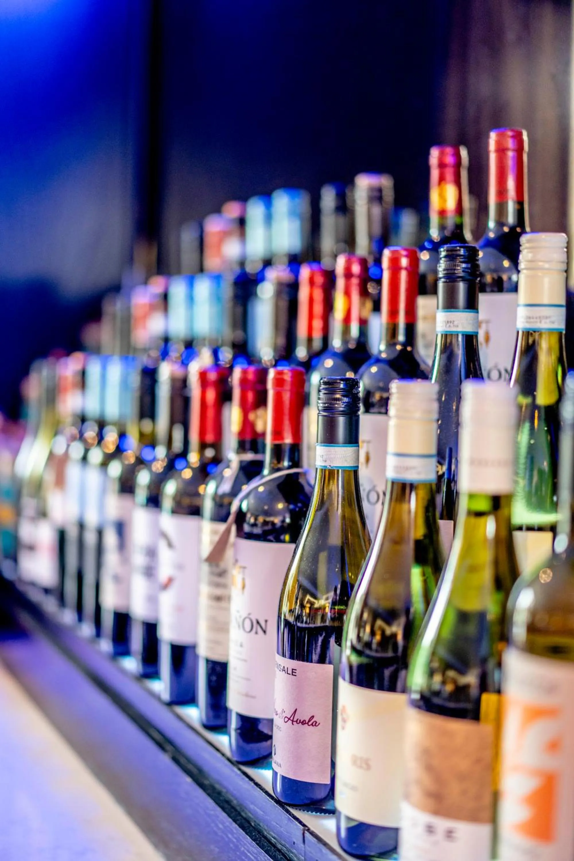 Lounge or bar in Colessio