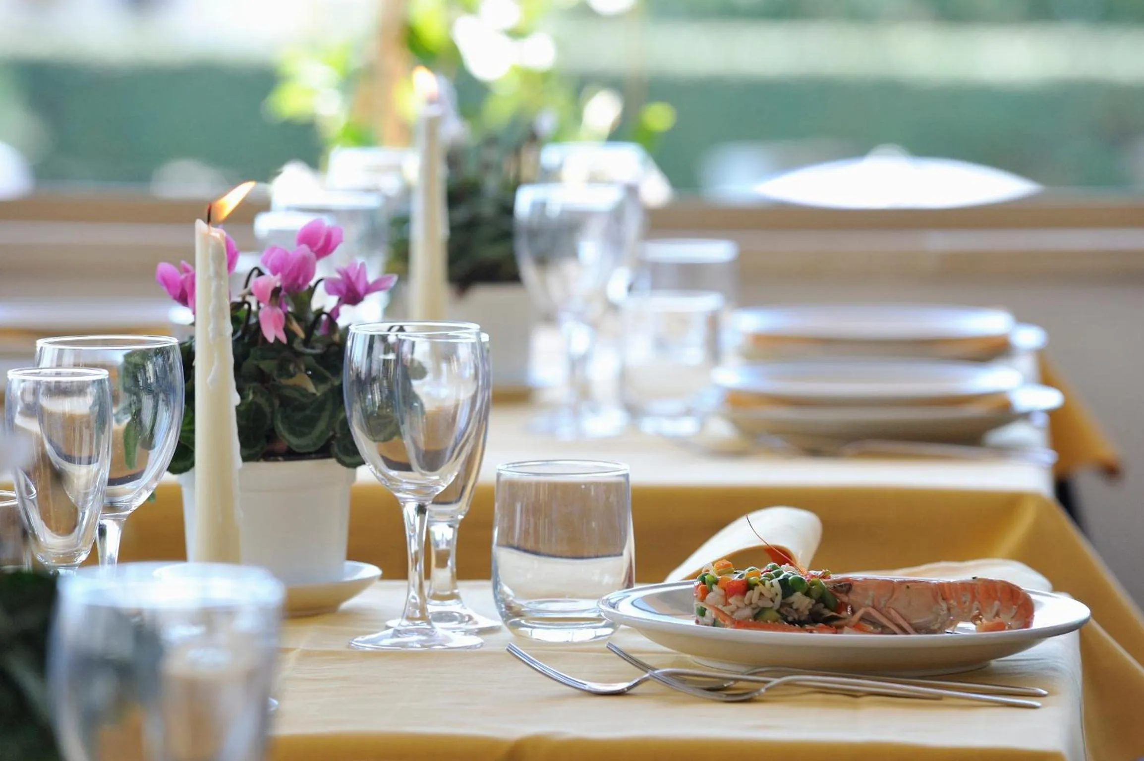 Restaurant/places to eat in Hotel Palace