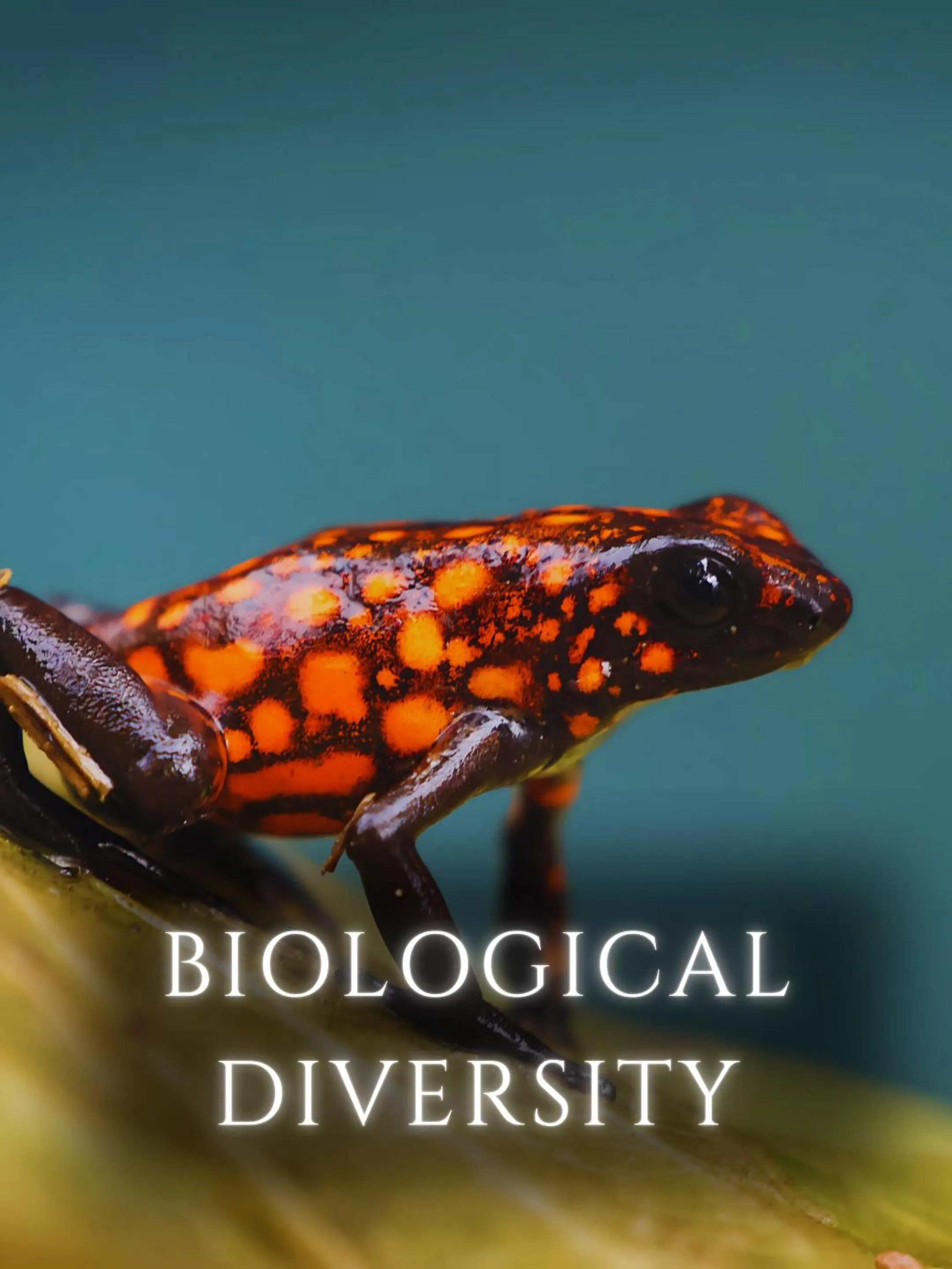 Other in The River House - Upscale Lodge