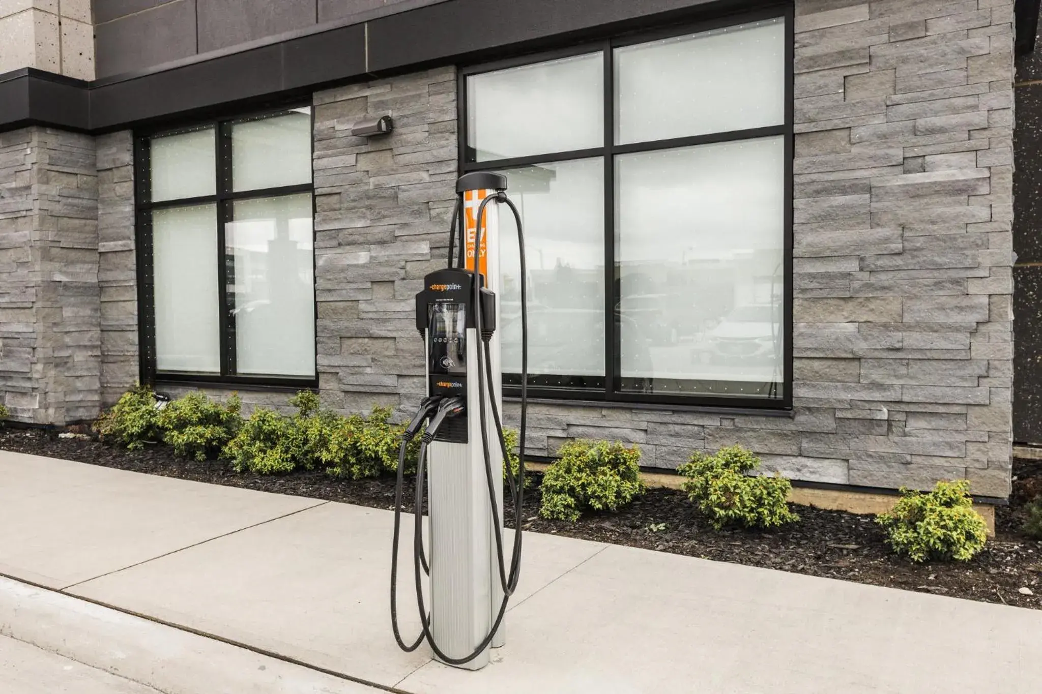 Lobby or reception in Holiday Inn Express & Suites Toronto Airport South by IHG Lobby or reception in Holiday Inn Express & Suites Toronto Airport South by IHG