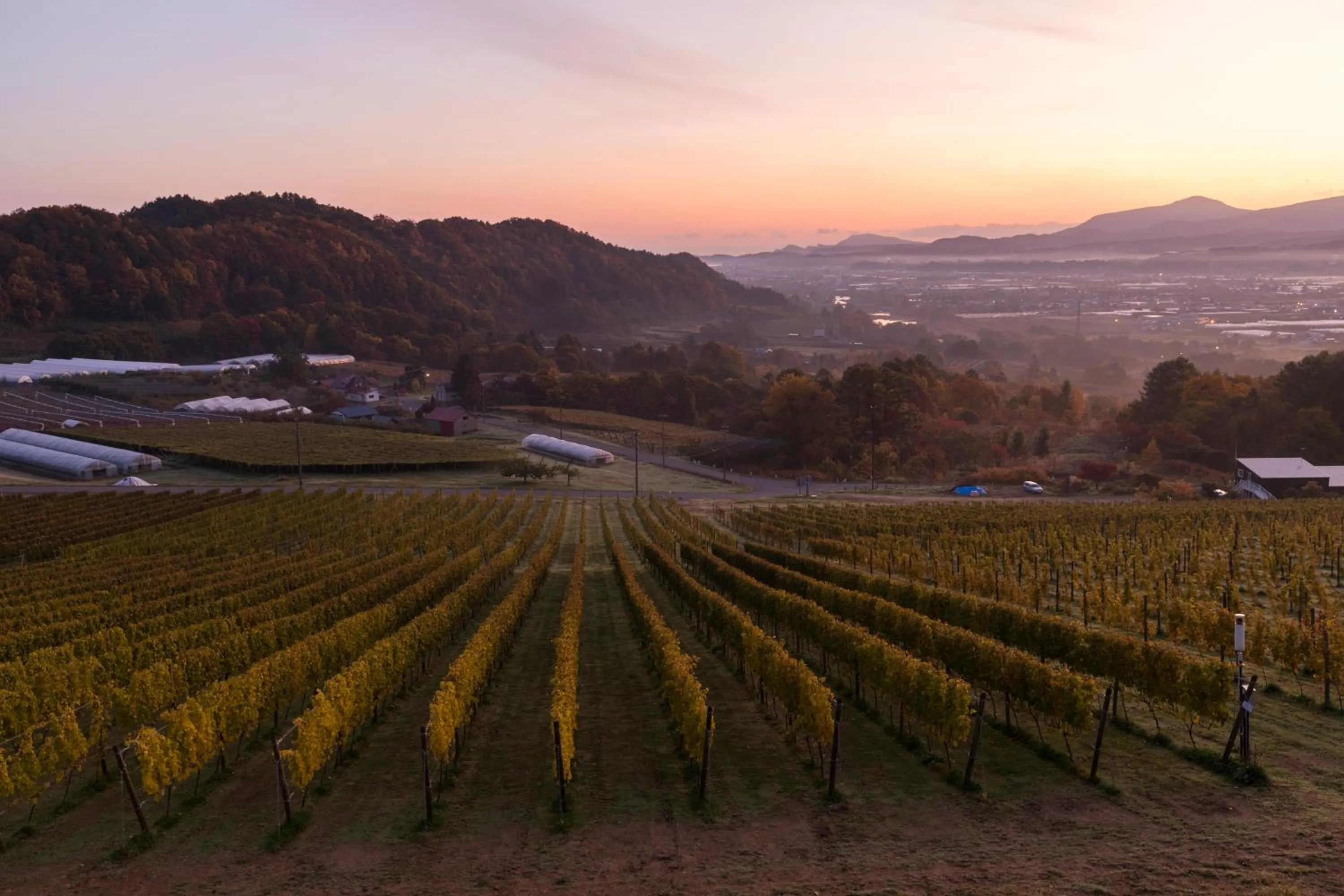 Nearby landmark in OMO5 Otaru by Hoshino Resorts