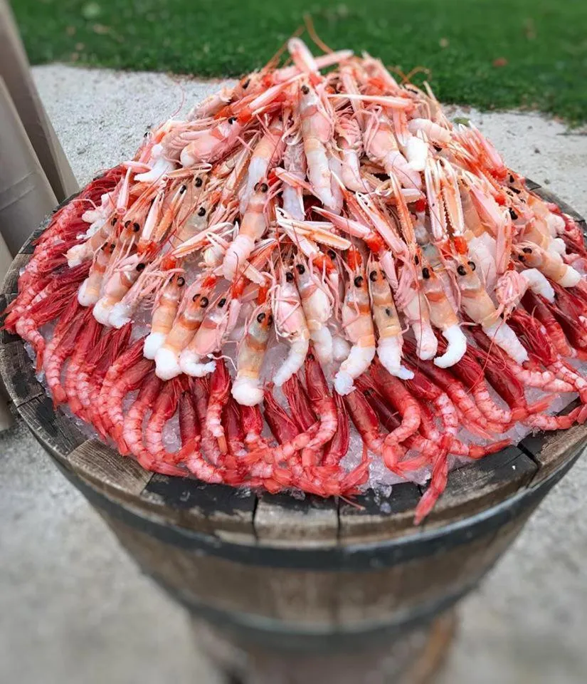 Restaurant/places to eat in Borgo Ronchetto