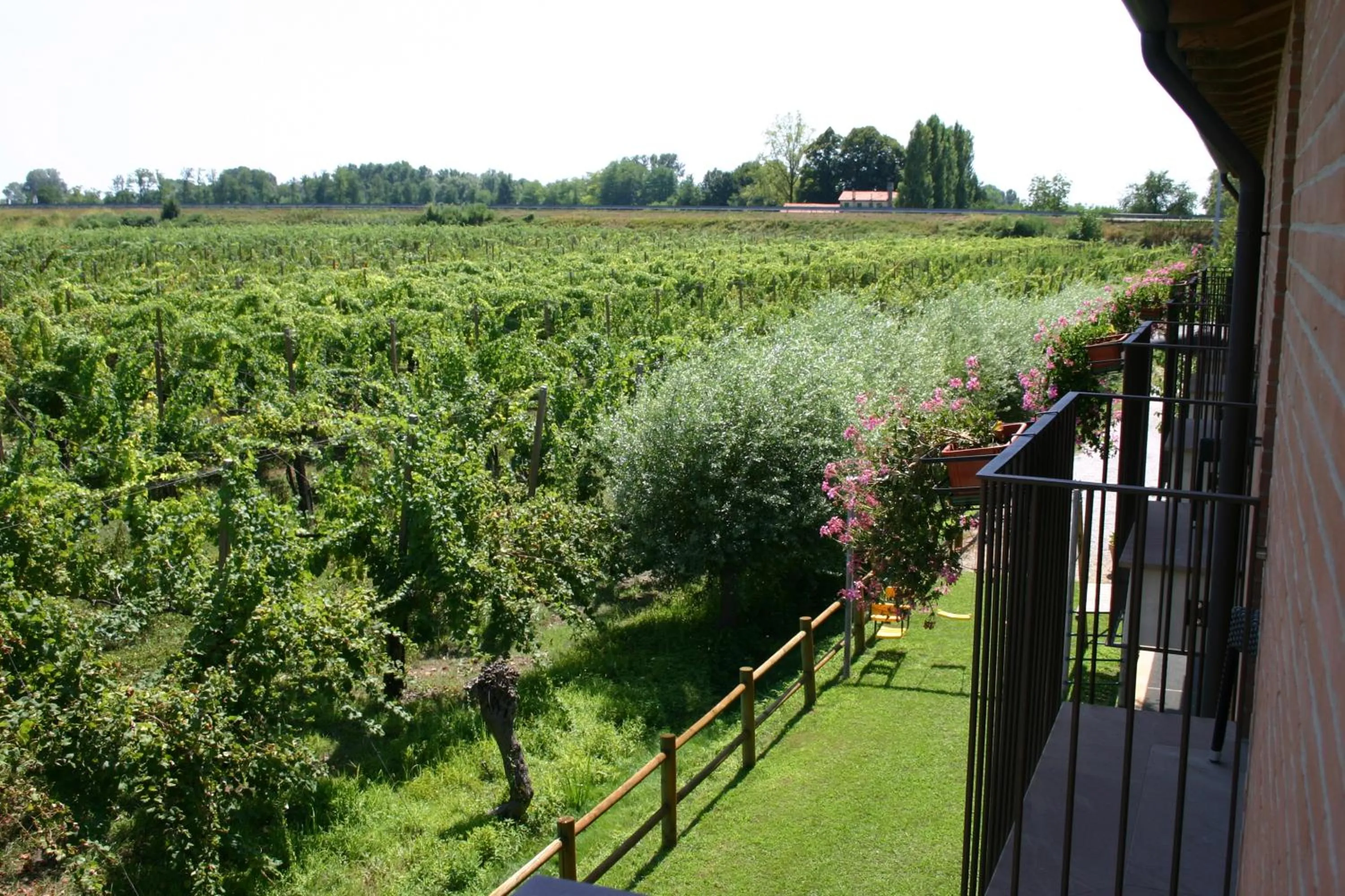 Balcony/Terrace in Borgo Ronchetto