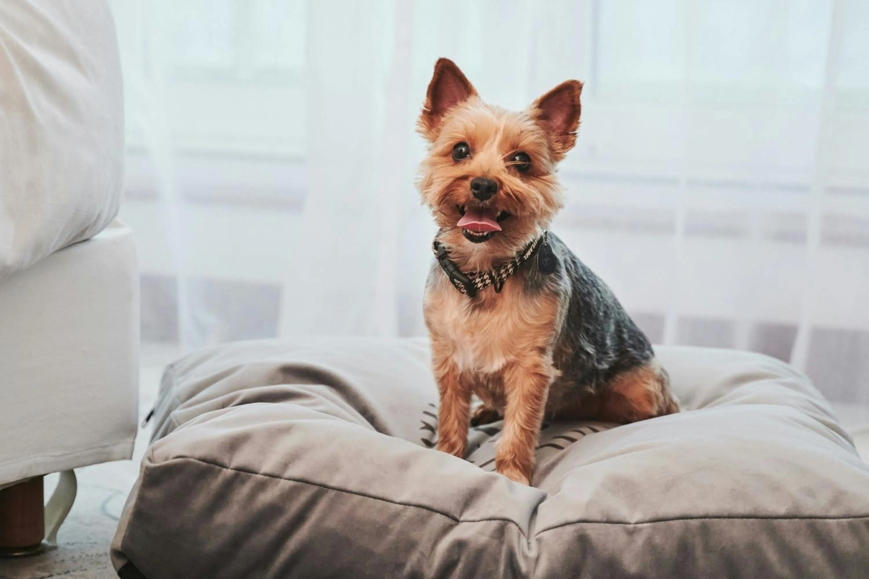 Photo of the whole room in Sheraton Sopot Hotel