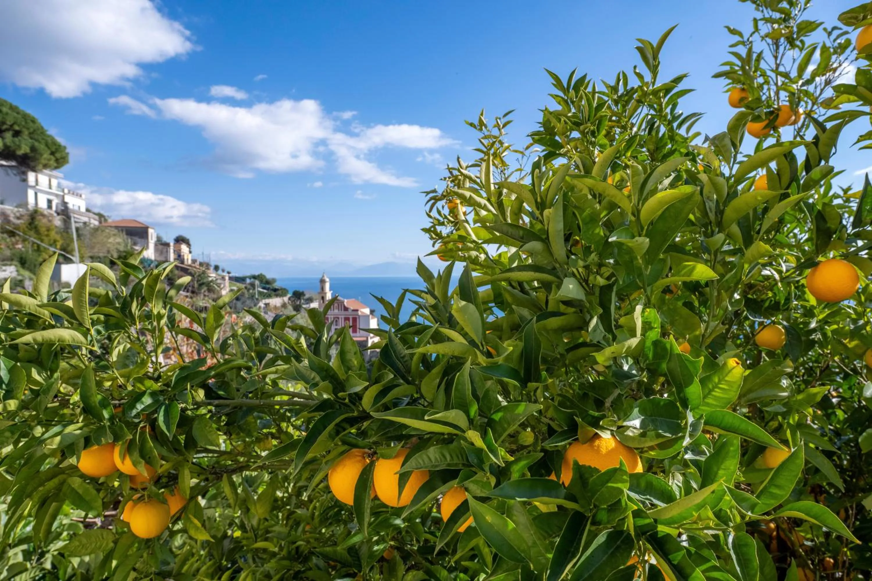 Locanda Degli Agrumi