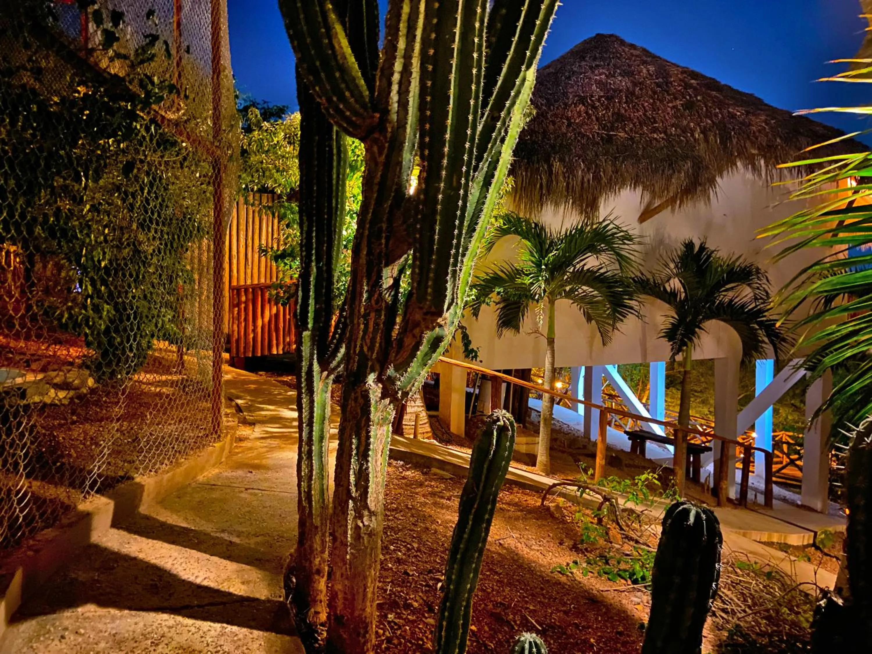 Nearby landmark in Palm Valley Cabins