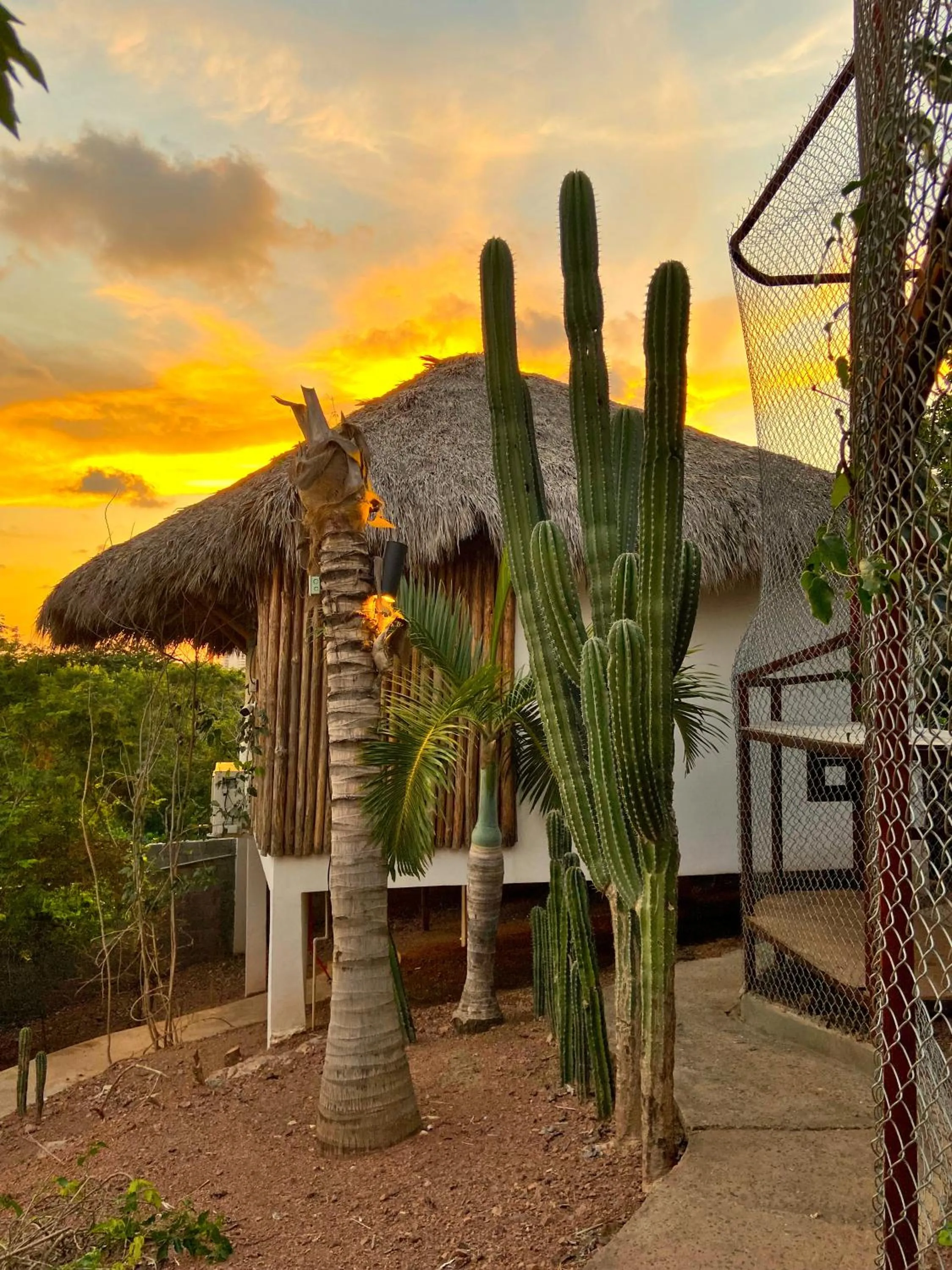 Property building in Palm Valley Cabins