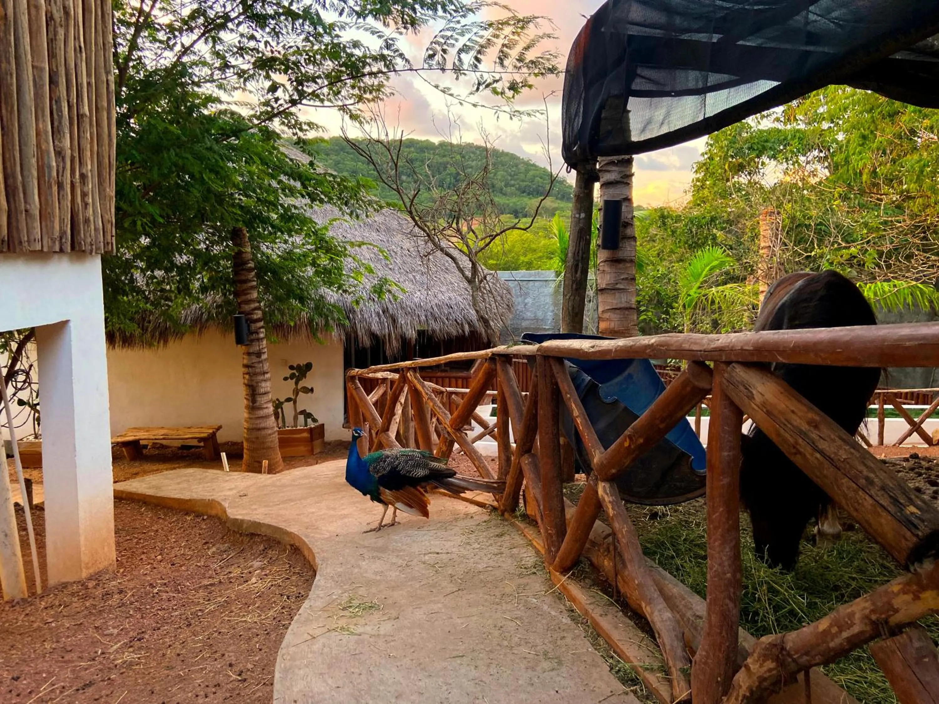 Patio in Palm Valley Cabins