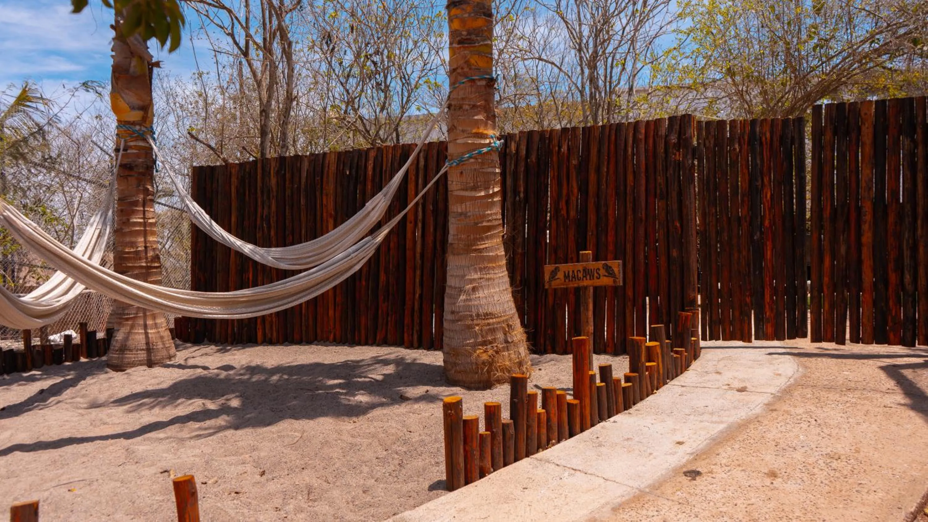 Spring in Palm Valley Cabins