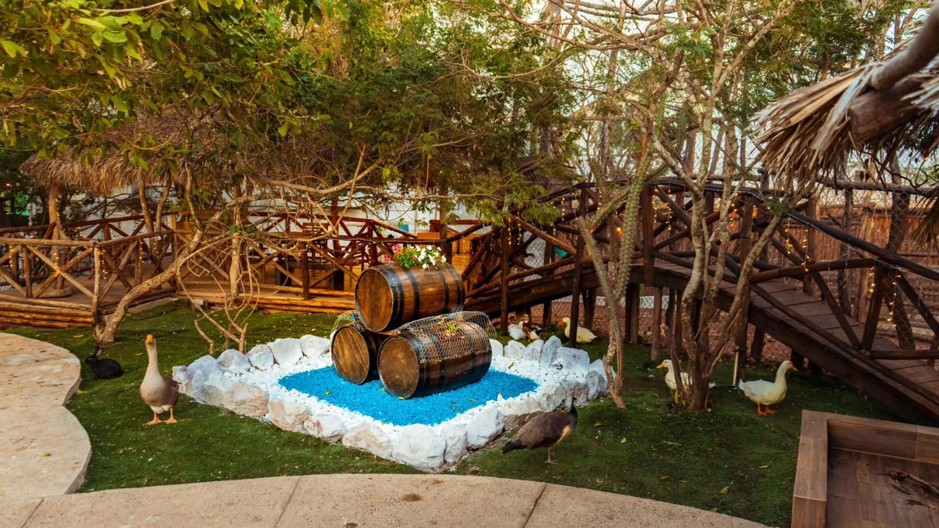 Spring in Palm Valley Cabins