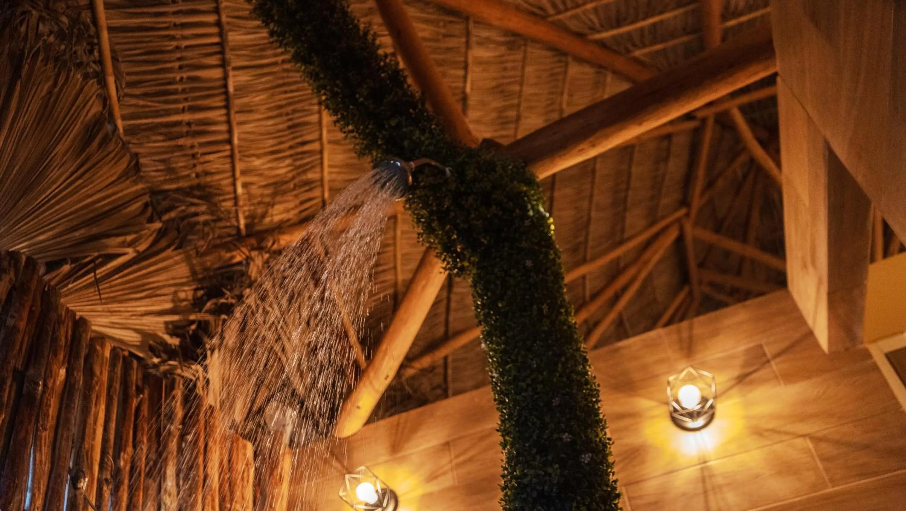 Shower in Palm Valley Cabins