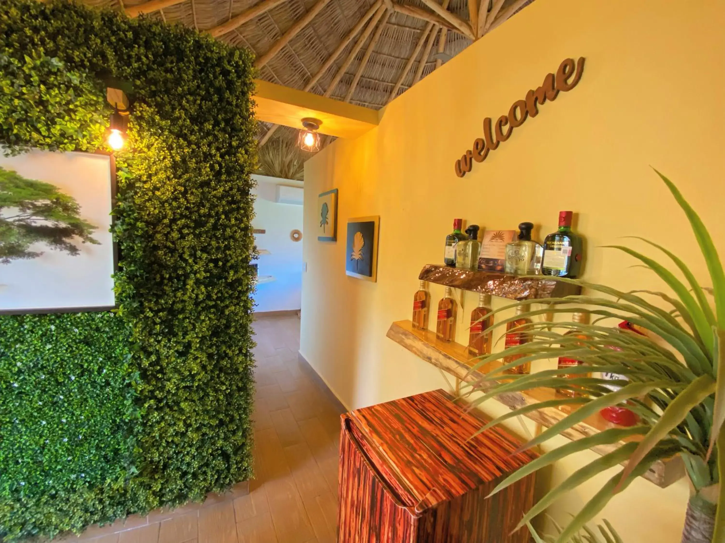 Lounge or bar in Palm Valley Cabins Lounge or bar in Palm Valley Cabins