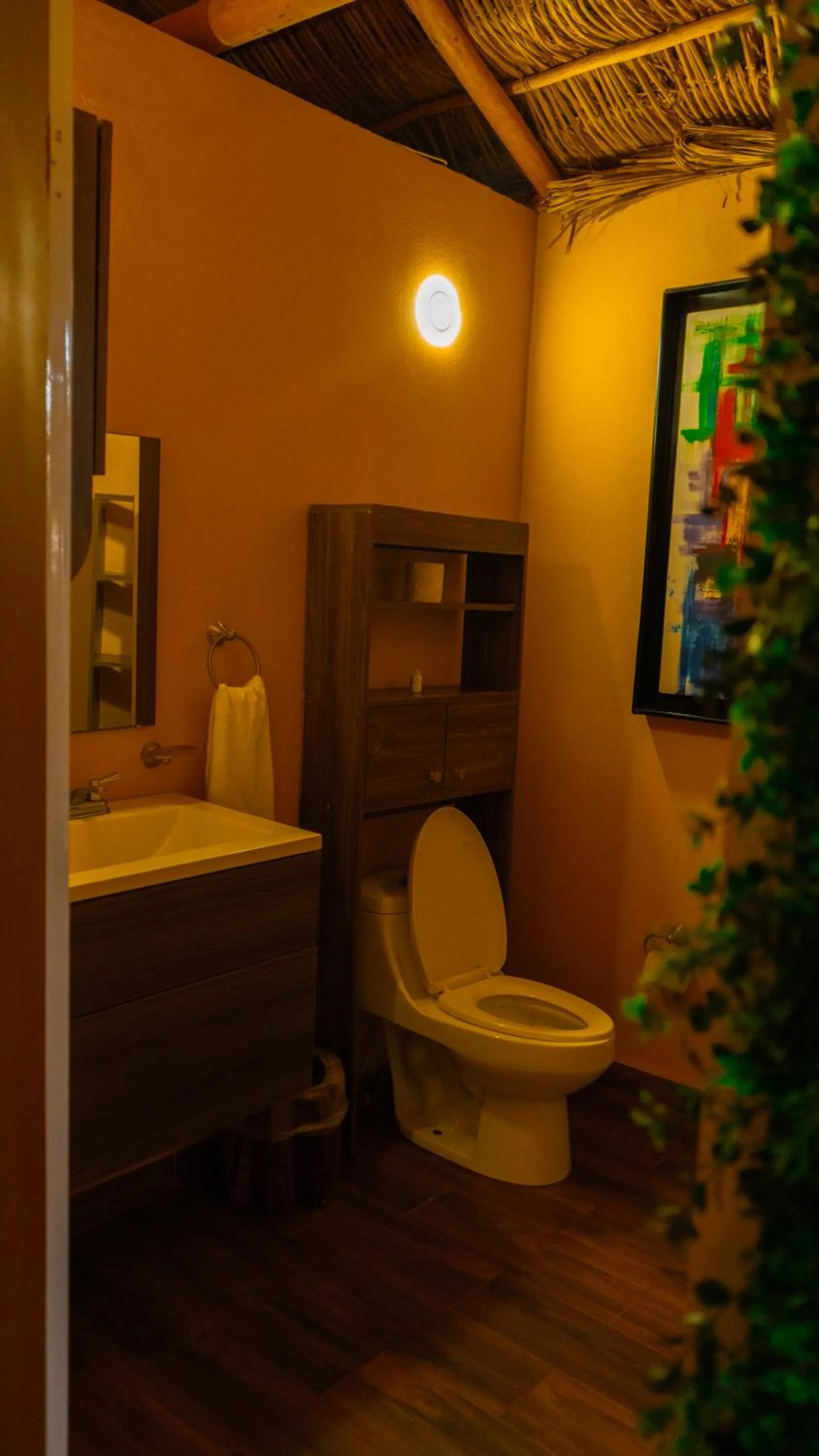 Toilet in Palm Valley Cabins