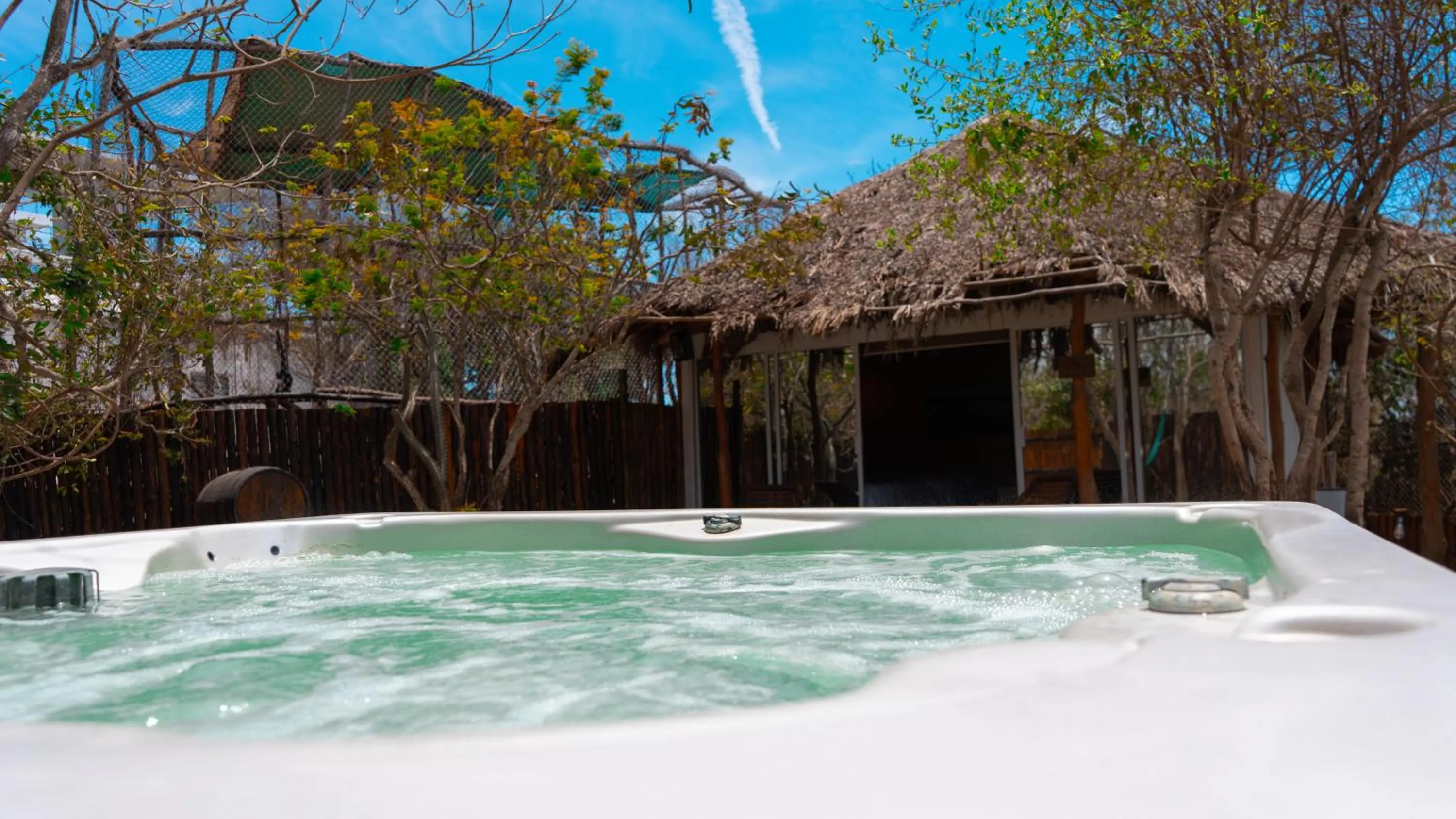 Day in Palm Valley Cabins