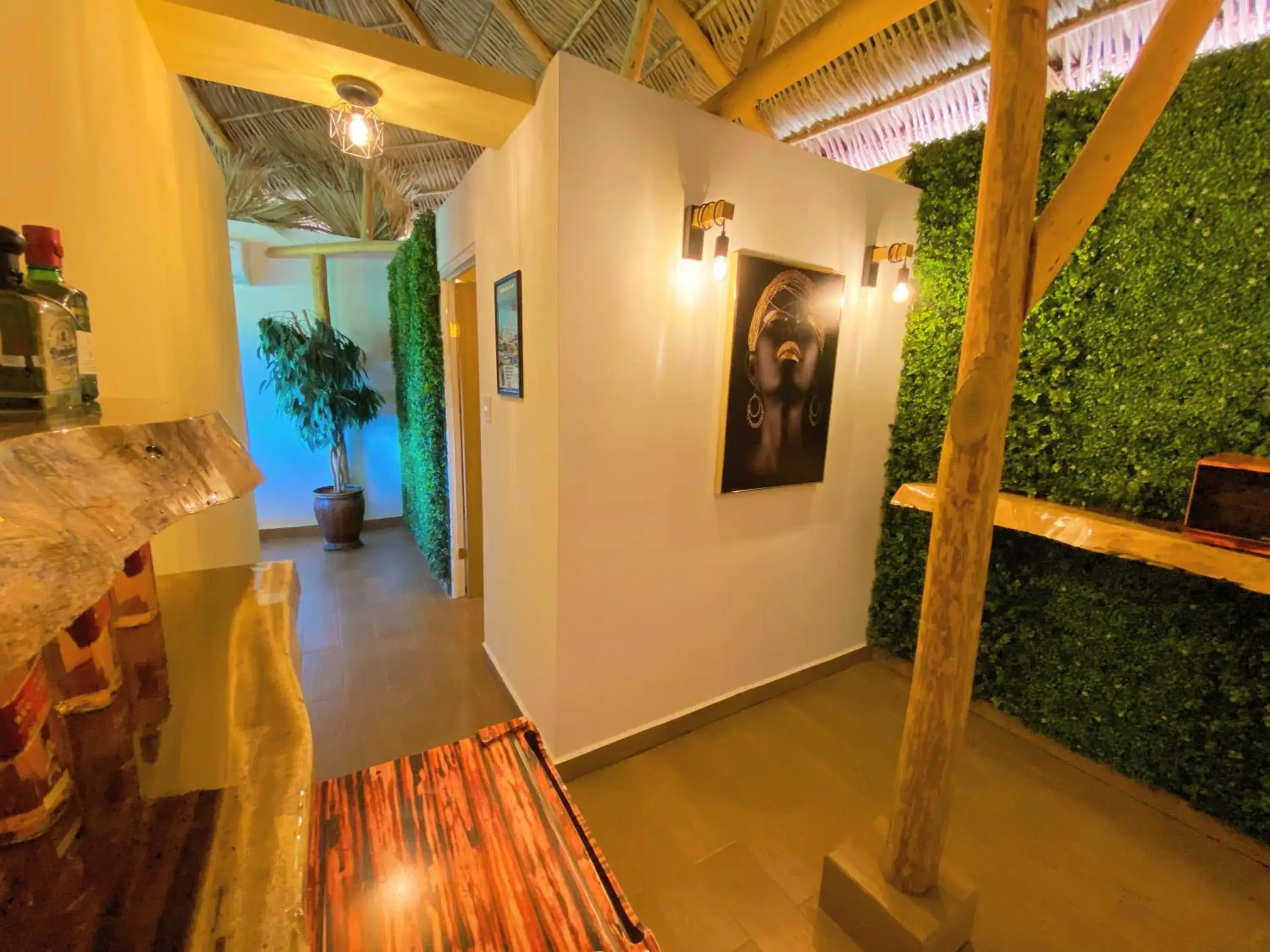 minibar in Palm Valley Cabins minibar in Palm Valley Cabins