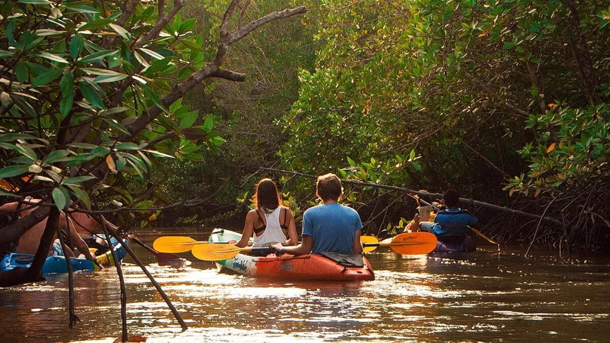Canoeing in Swiss Chalet Garden, Pool Resort