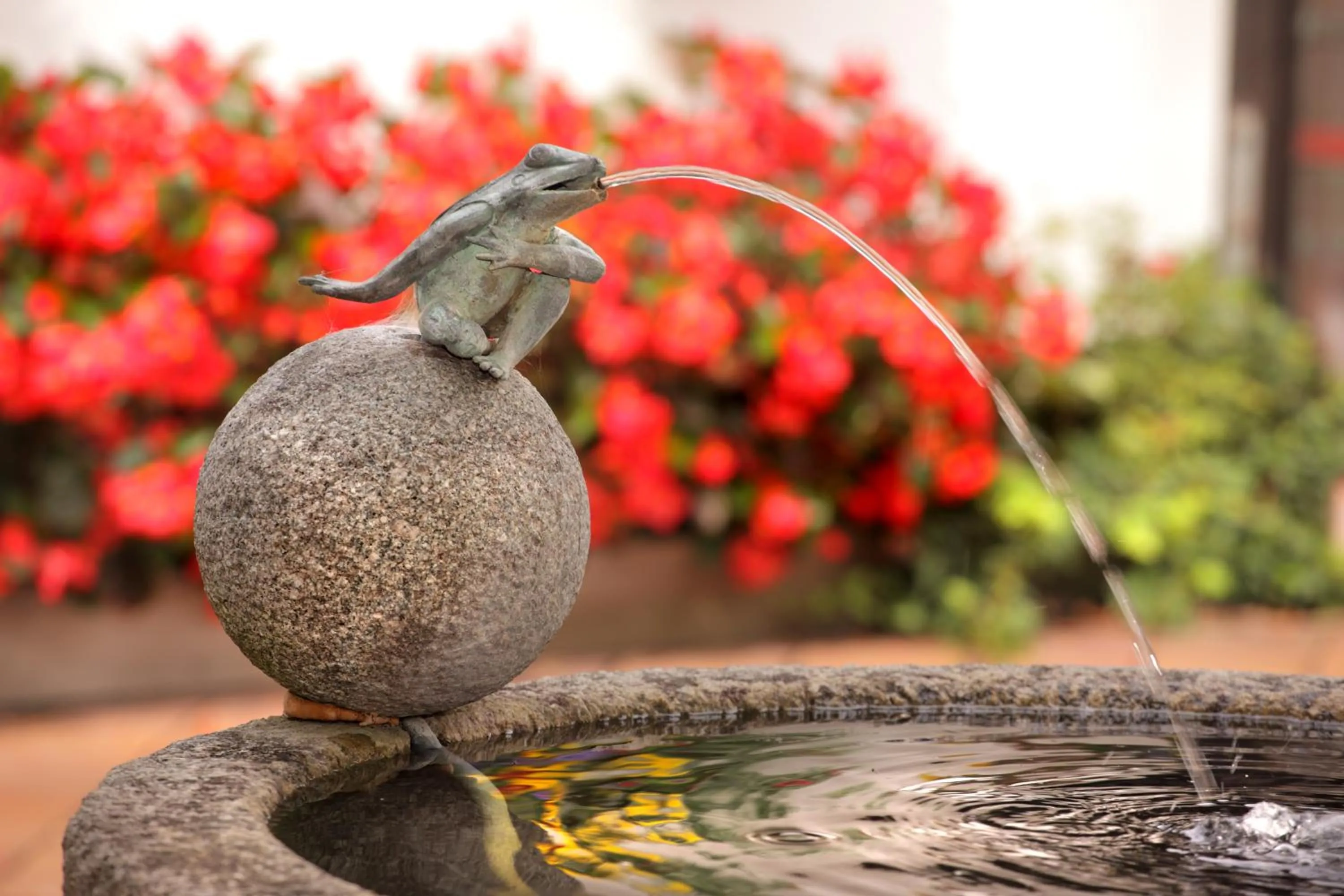 Garden in Hotel Hofmark