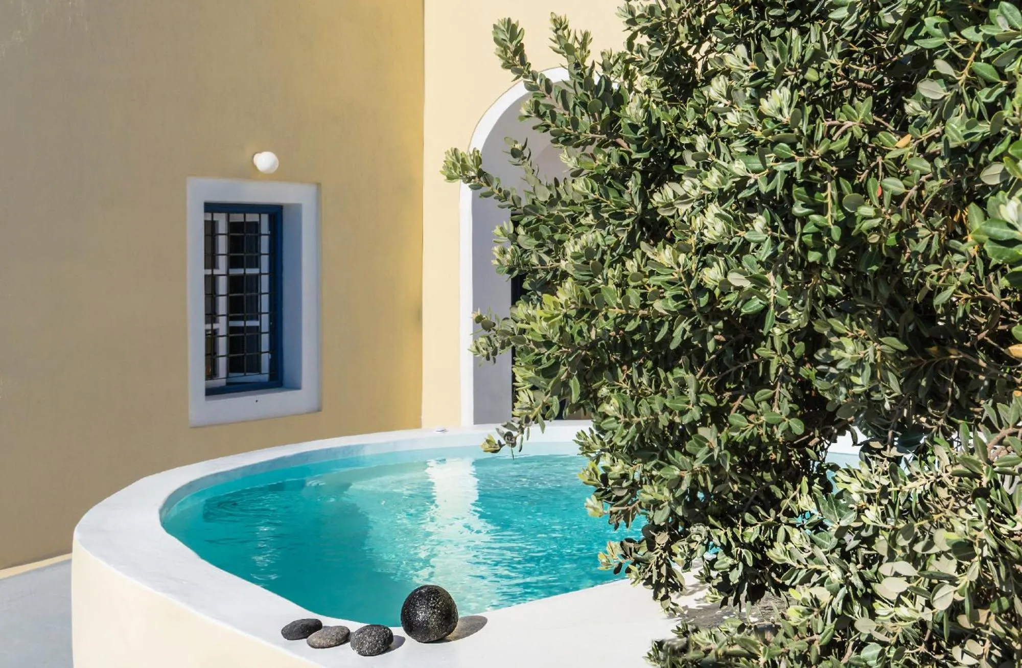 Garden in Astraea House