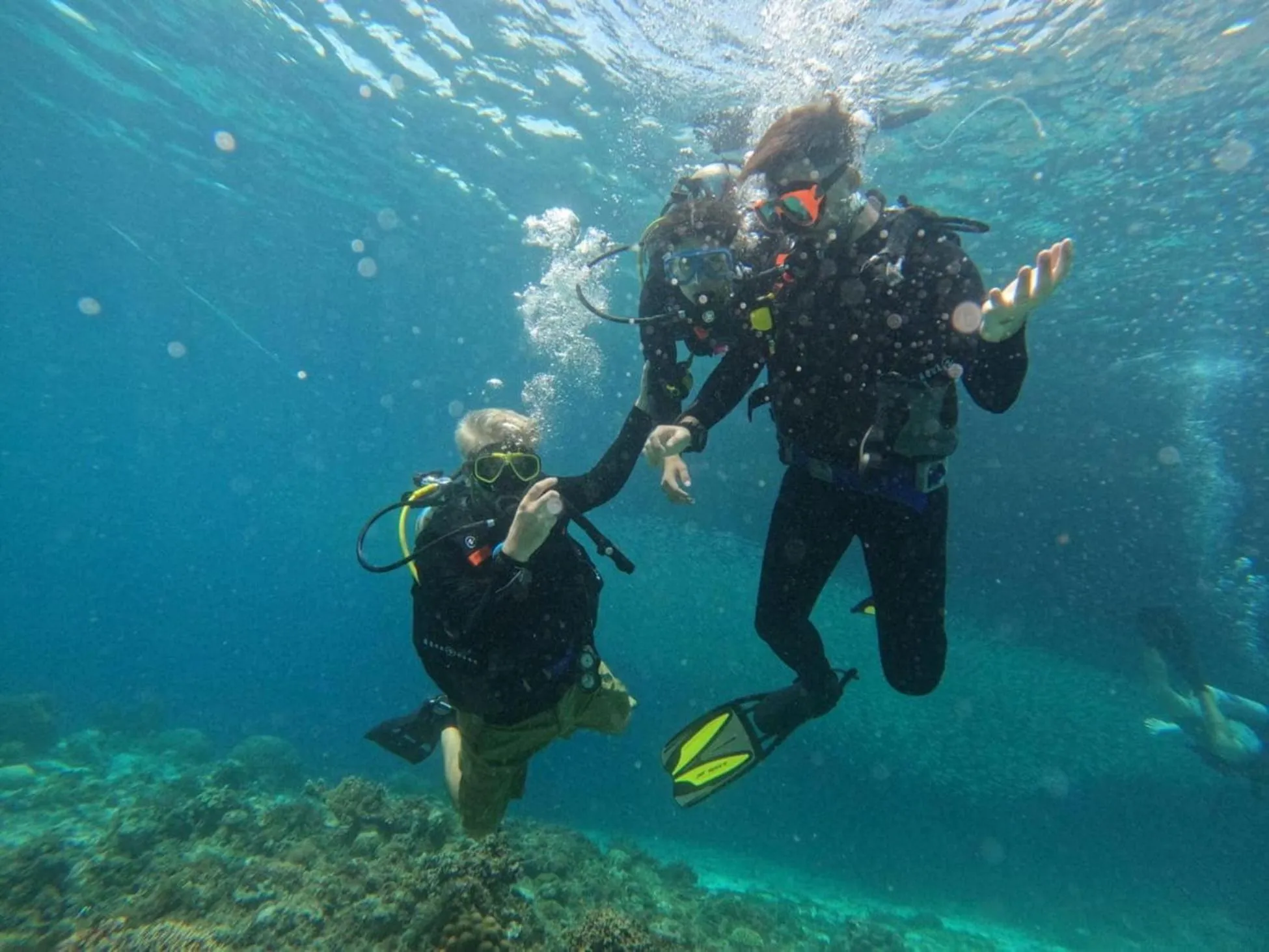 Diving in Abraham Bohol