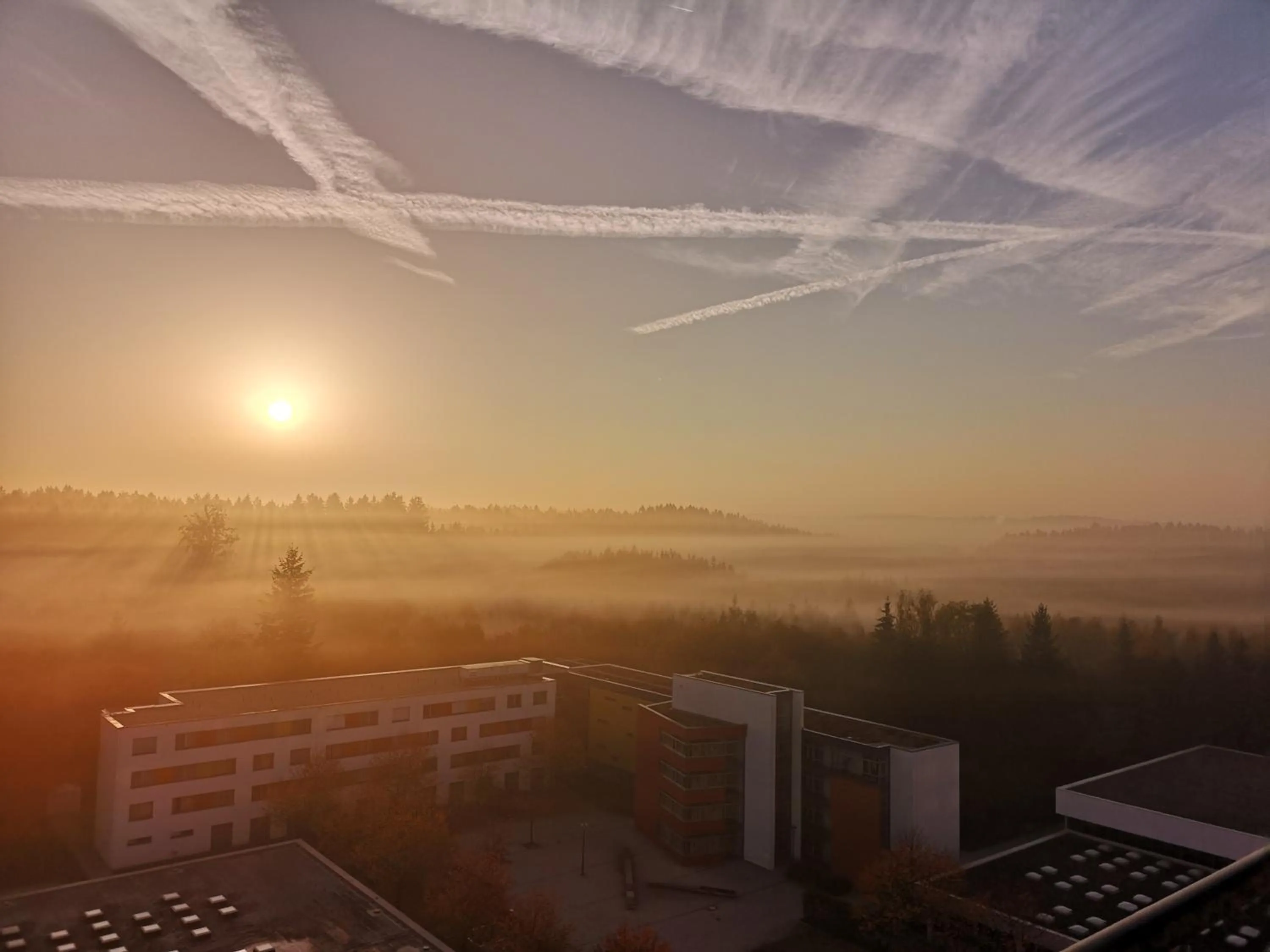 Natural landscape in Hotel Bildungsblick