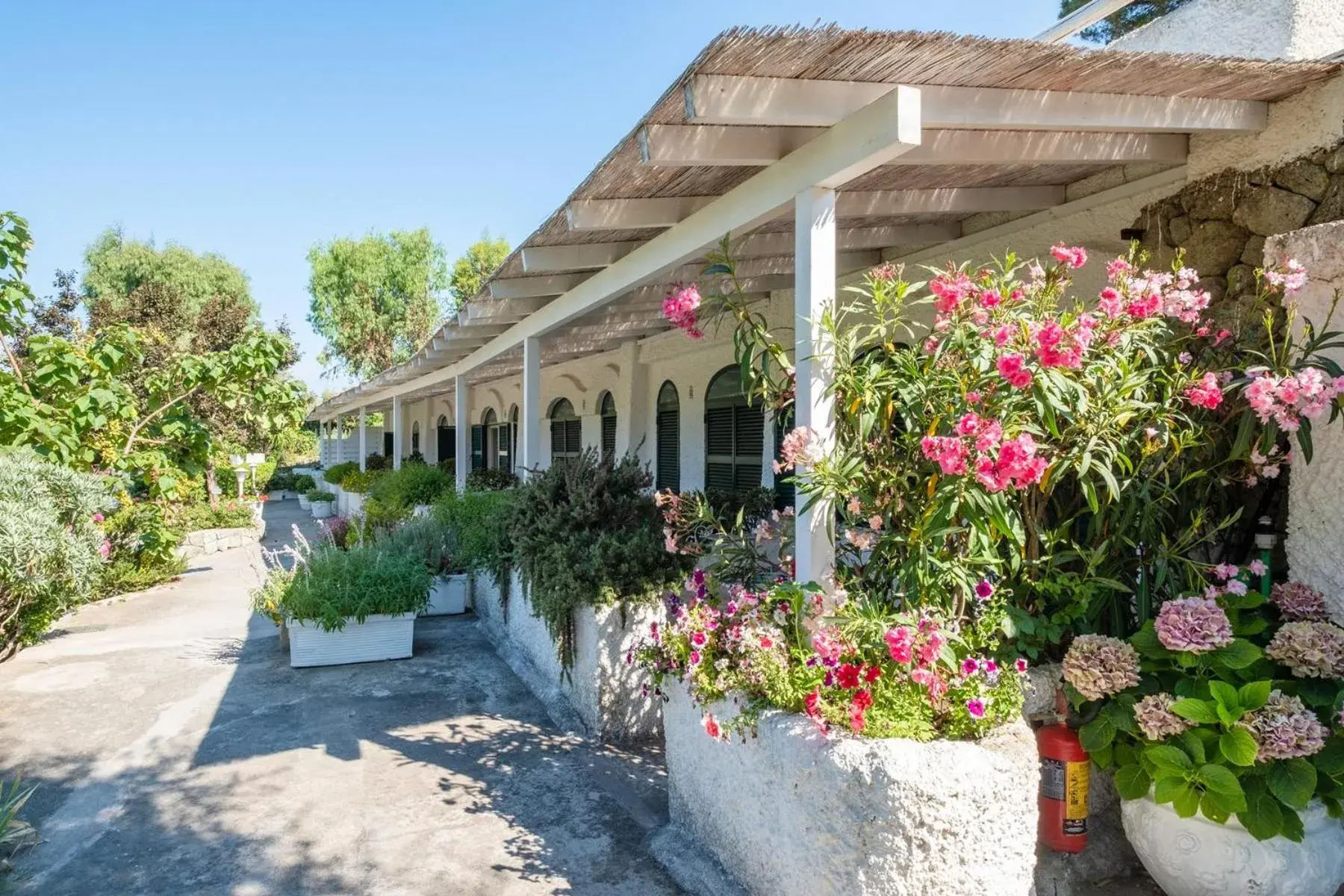 Property building in Paradiso Terme Resort & SPA con 5 piscine termali Property building in Paradiso Terme Resort & SPA con 5 piscine termali