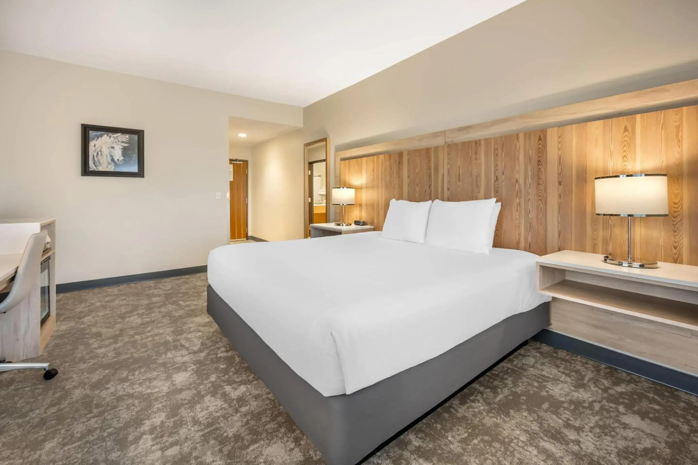 Bedroom, Bed in Radisson Hotel Pendleton Airport Bedroom, Bed in Radisson Hotel Pendleton Airport