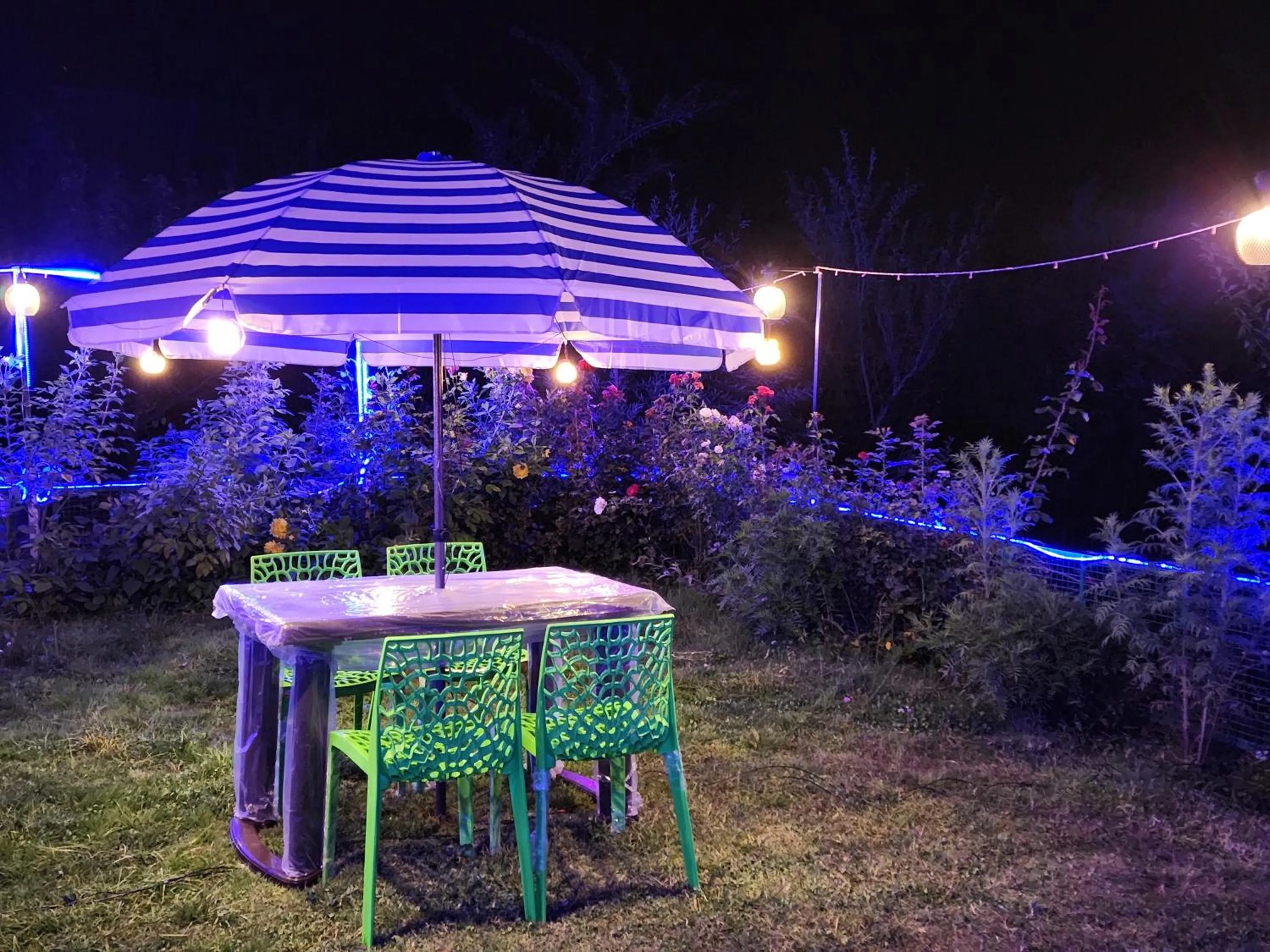 Garden view in Luxury Planet Resort Manali