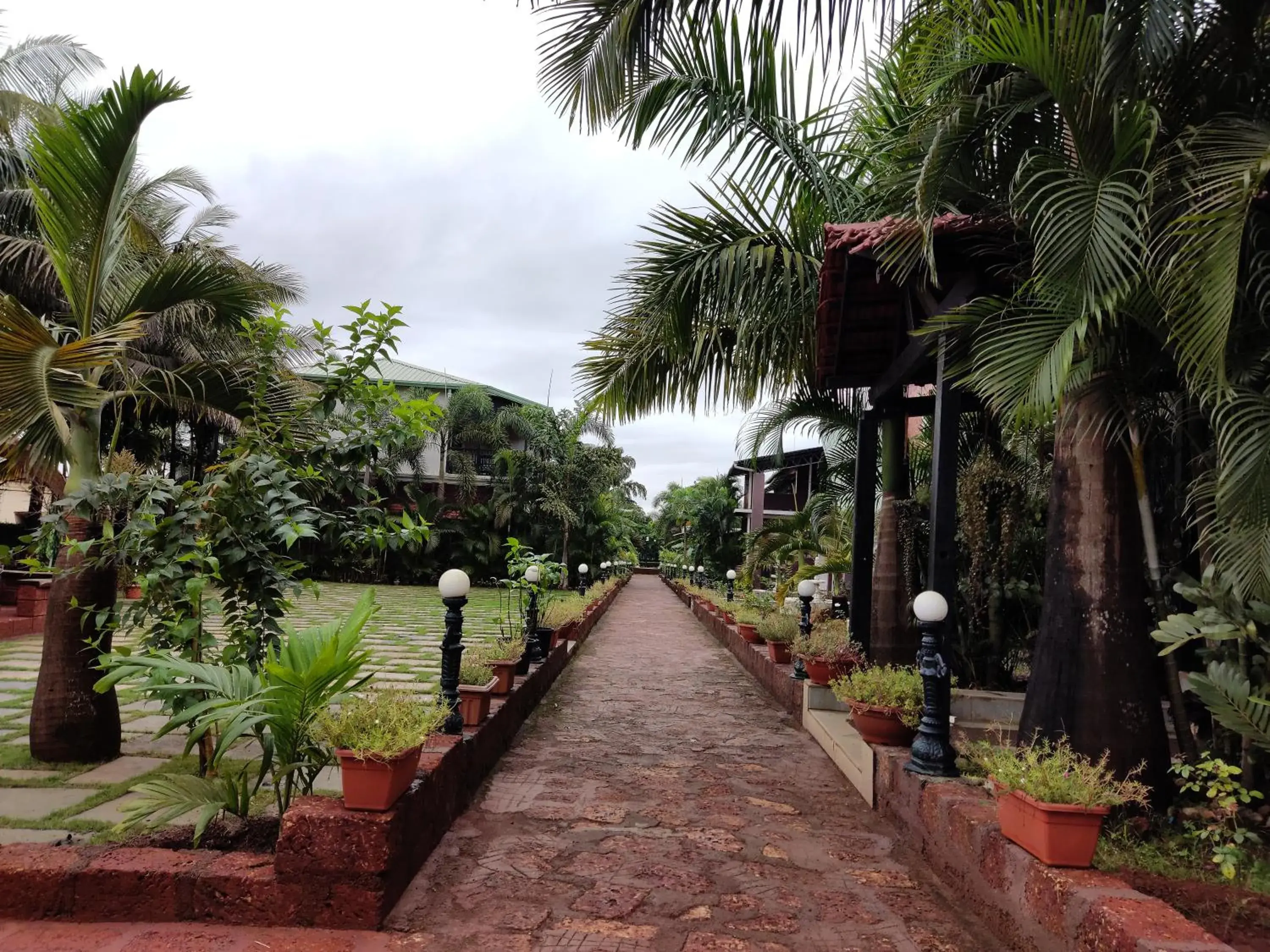 Natural landscape in Chira Meadows Ecoresort, Dapoli Natural landscape in Chira Meadows Ecoresort, Dapoli