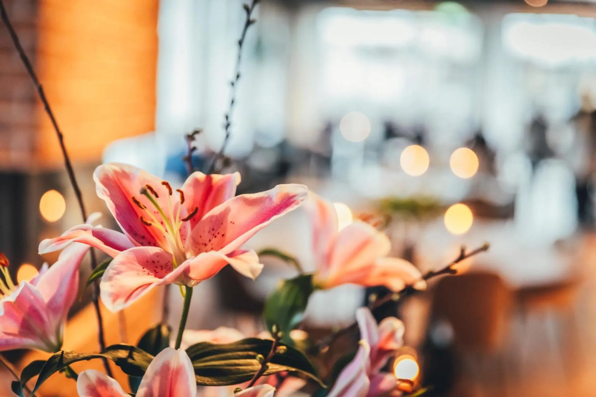 Restaurant/places to eat in Slottsholmen Hotell och Restaurang