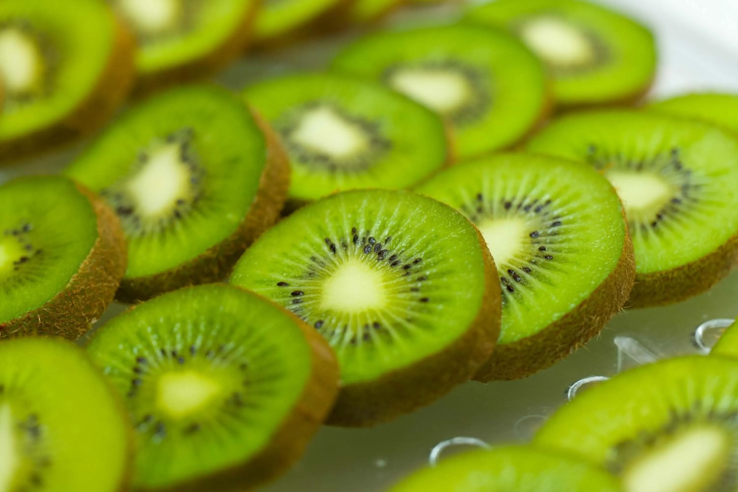 Breakfast in Hotel St Gregory Park