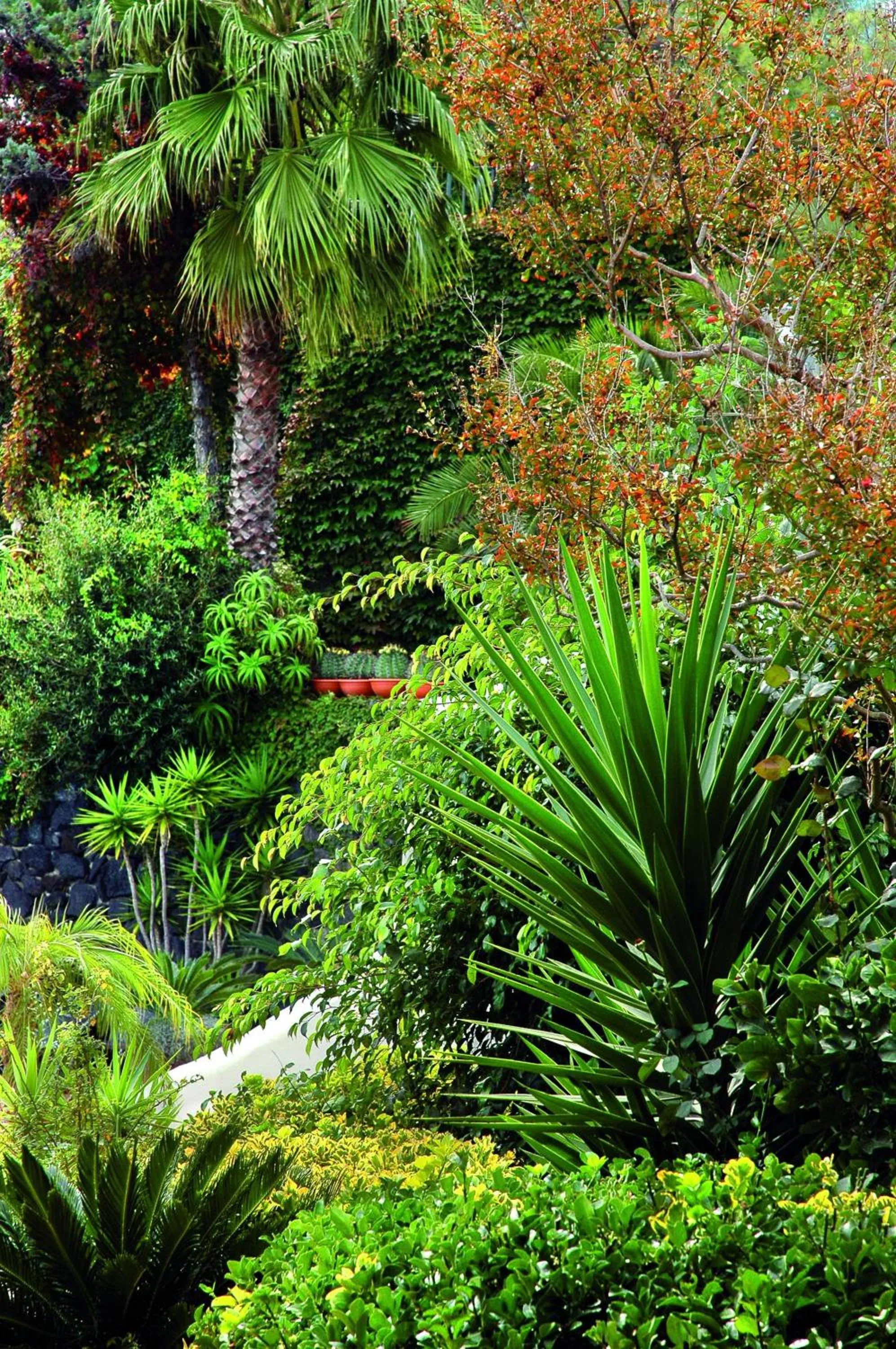 Garden in Strand Hotel Delfini