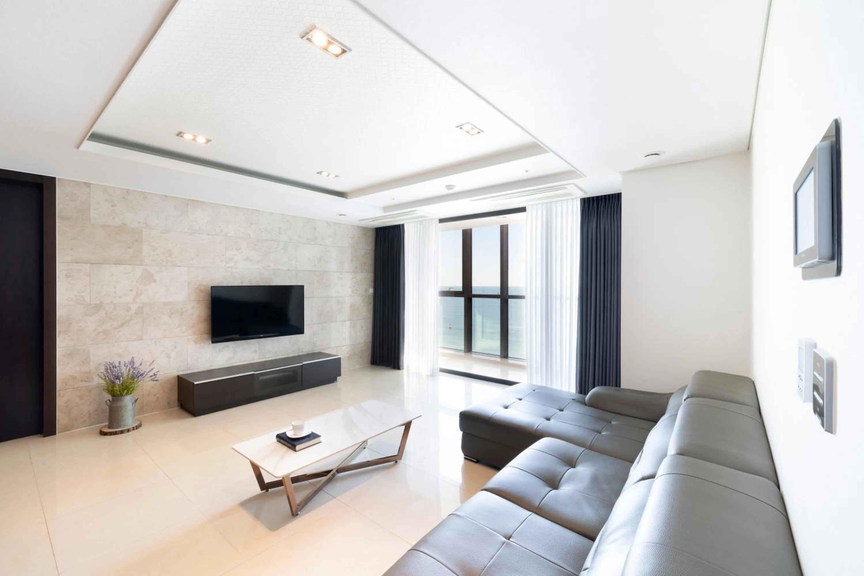 Living room in Pale De Cz Condo