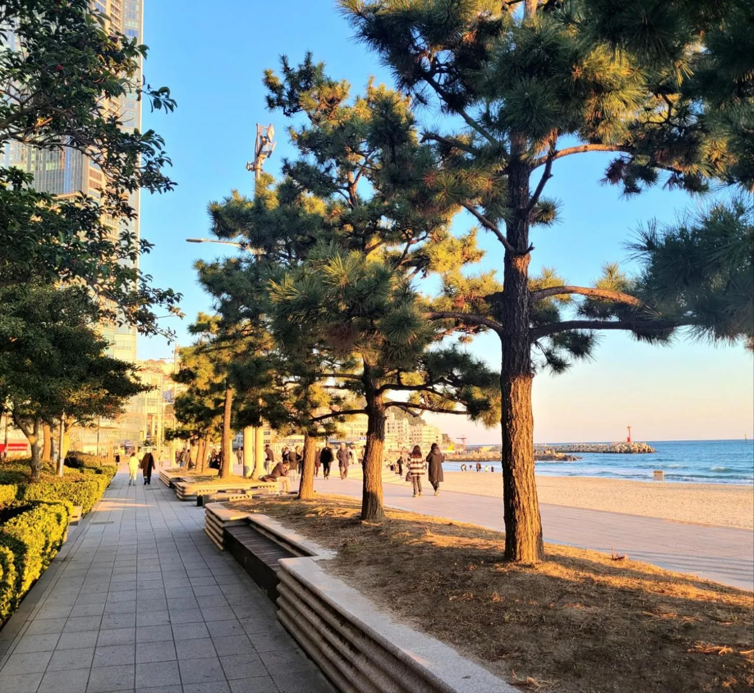 Neighbourhood in Pale De Cz Condo