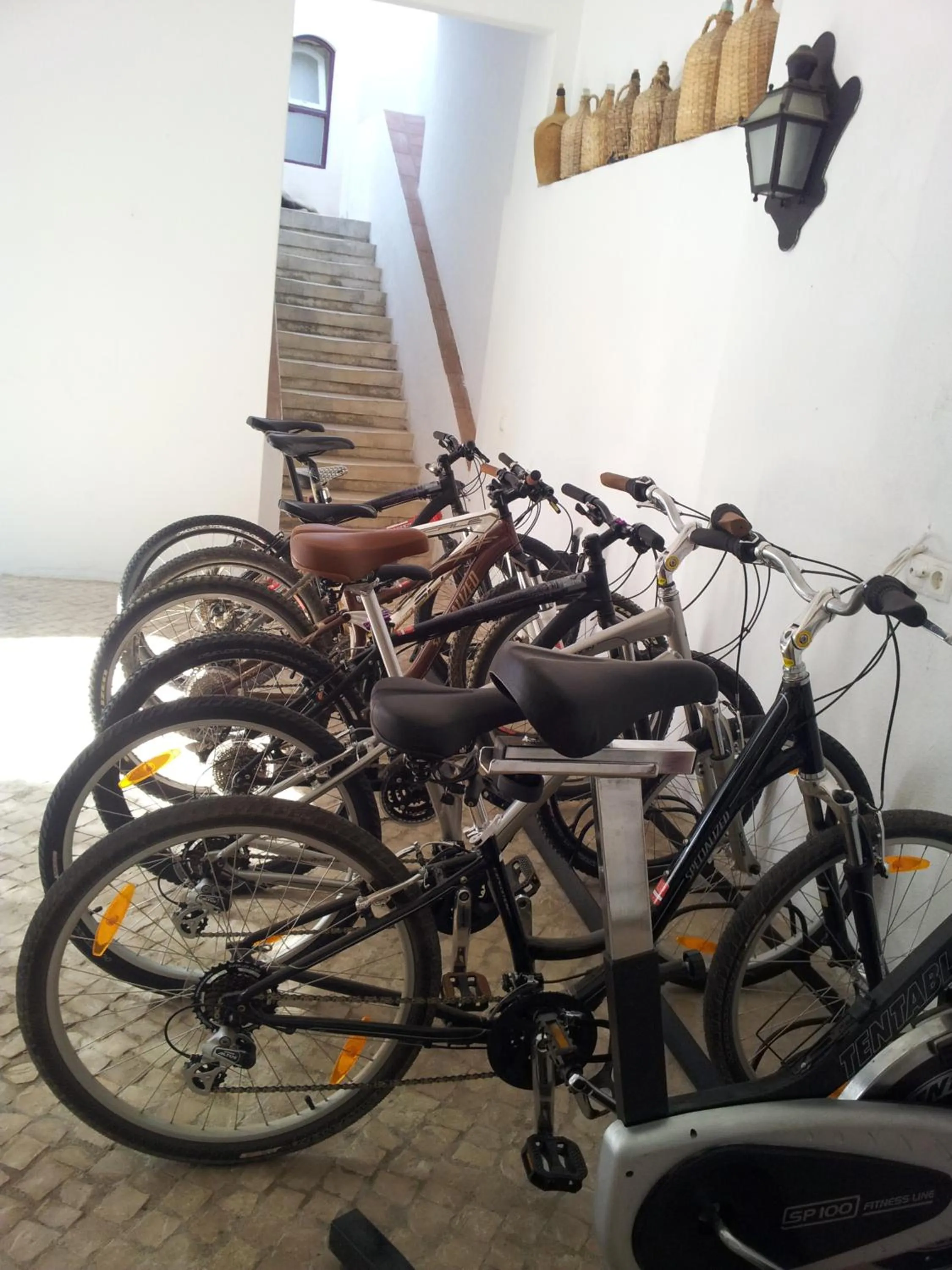 Cycling in Casa da Tia Guida