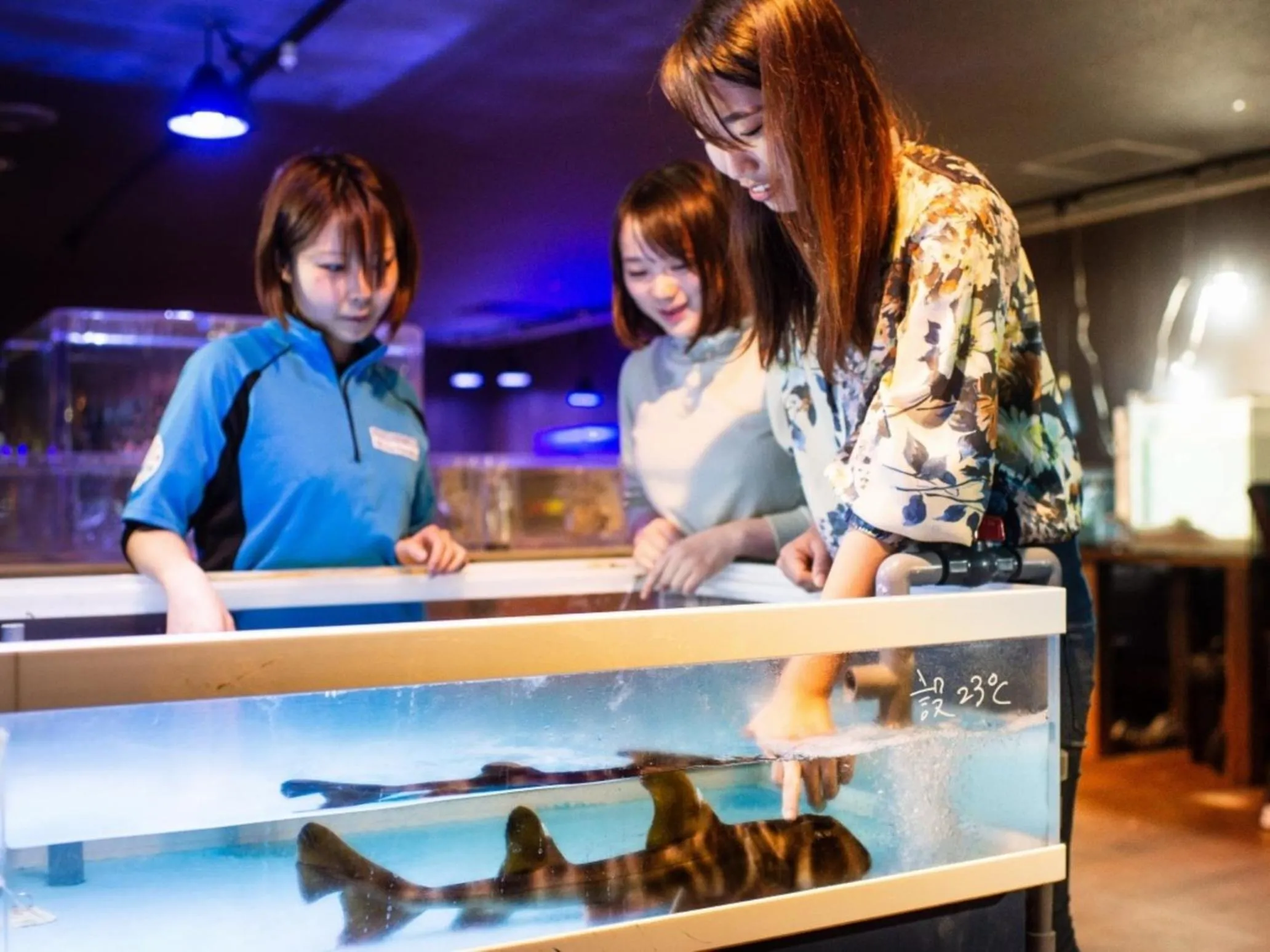 Nearby landmark in Hotel Castle Inn Ise