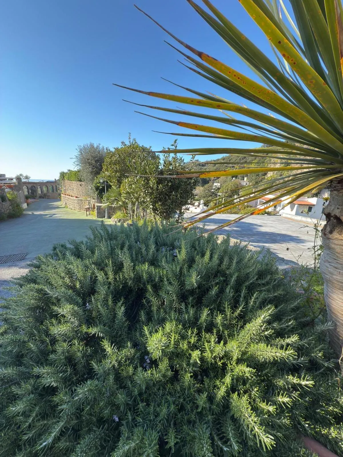 Natural landscape in Parco dei Principi Resort & Spa