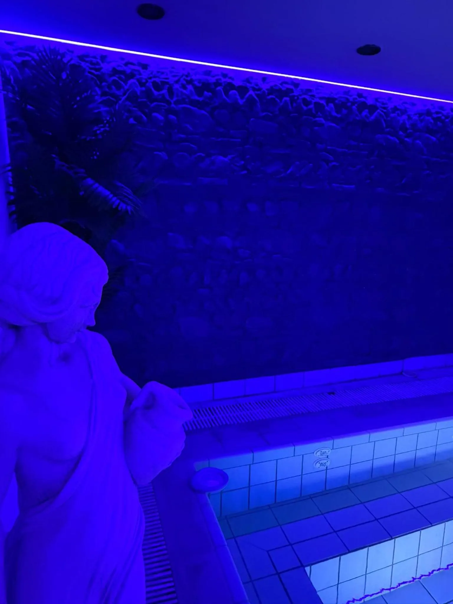 Pool view in Parco dei Principi Resort & Spa