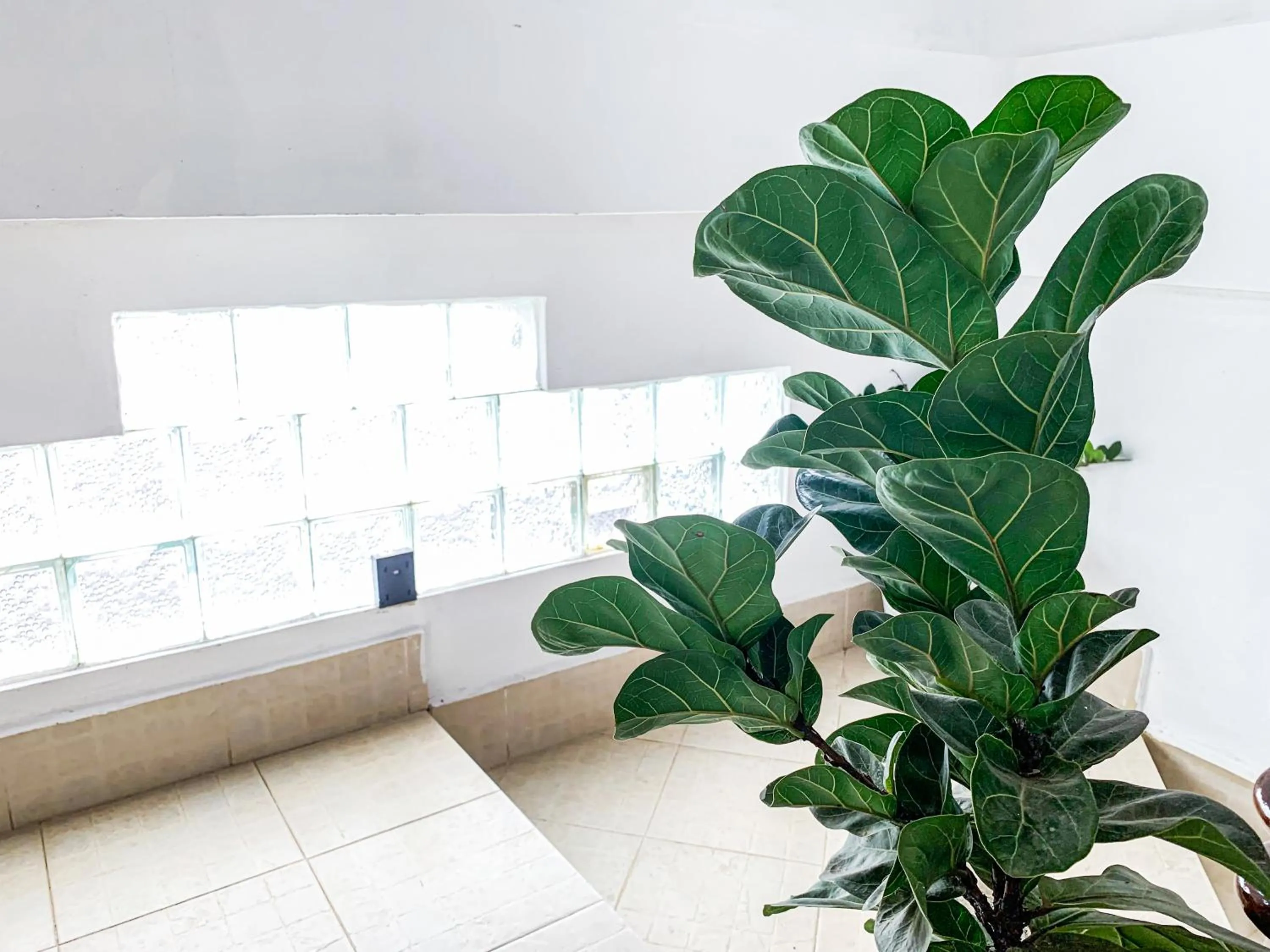 Property building in Bountang Mountain View Riverside Hotel