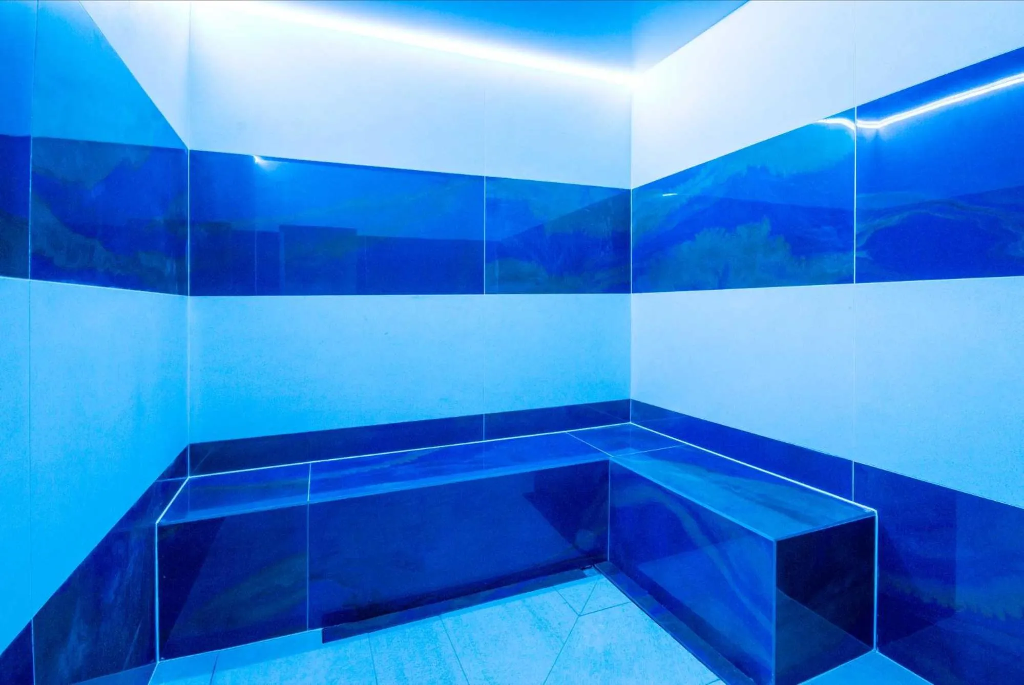 Swimming pool in Best Western Modena District